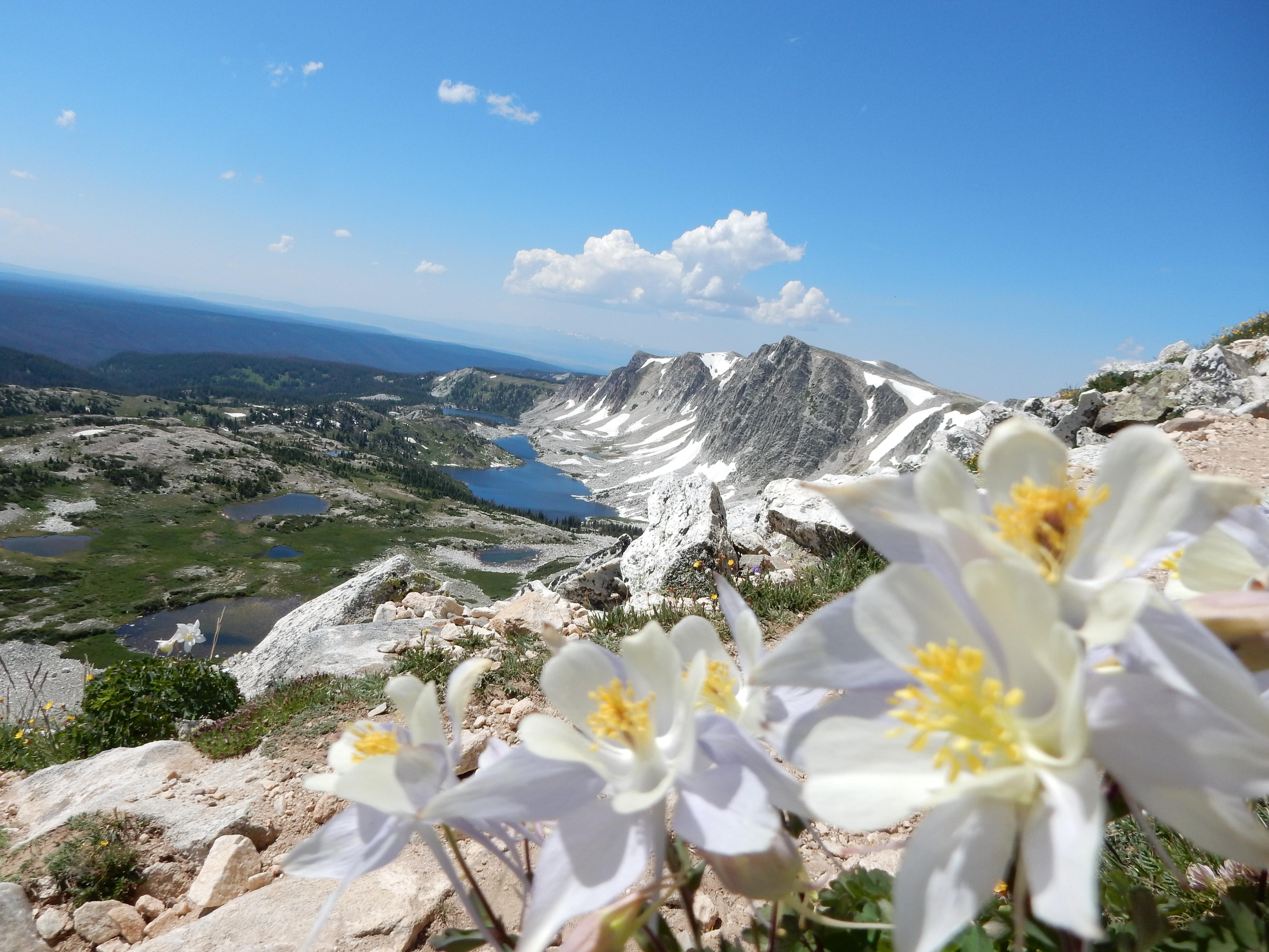 Medicine Bow Peak, Wyoming r/wyoming