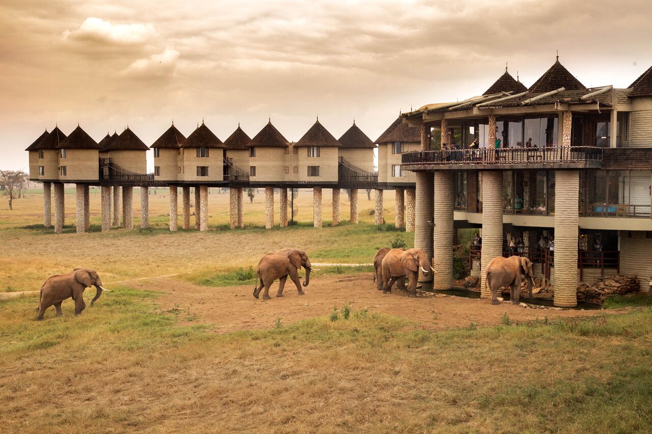 TaitaTaveta, Kenya Sarova Salt Lick Game Lodge r/AfricanArchitecture