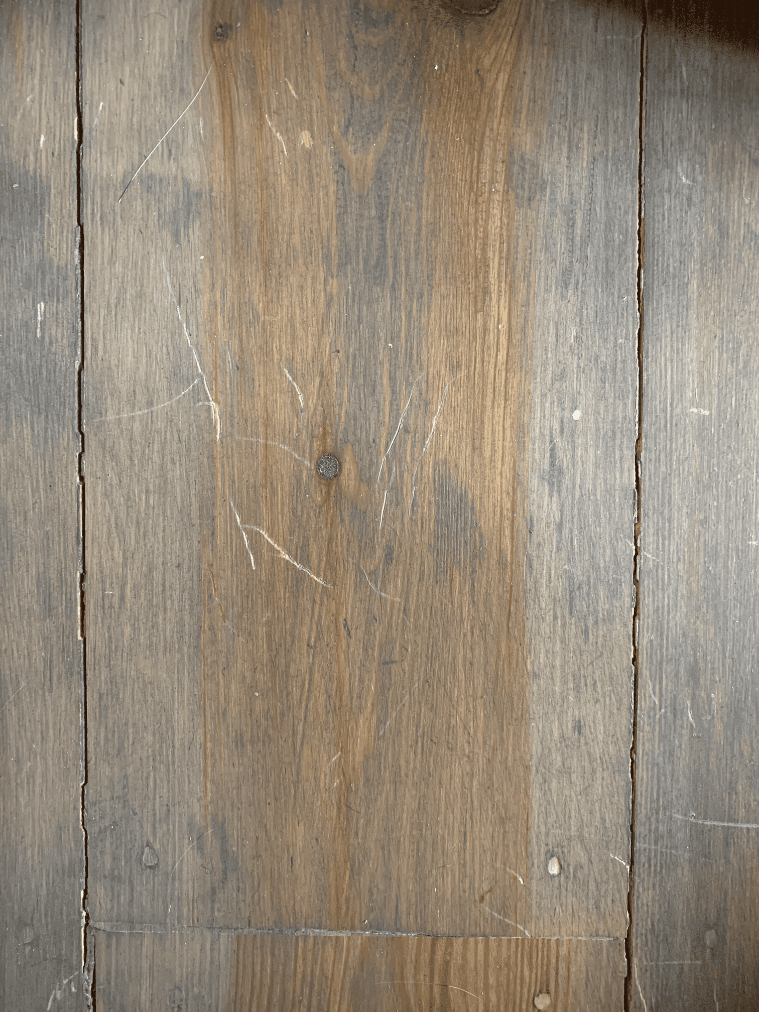 Cats scratches can this be fixed? r/HardWoodFloors