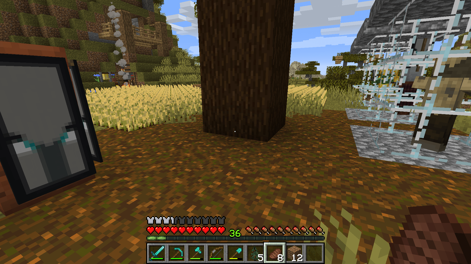 Today I learned that growing big spruce trees changes the grass to