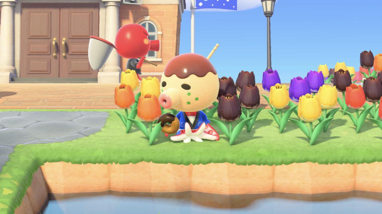 Oh how I wish to be Zucker eating a donut while sitting in flowers