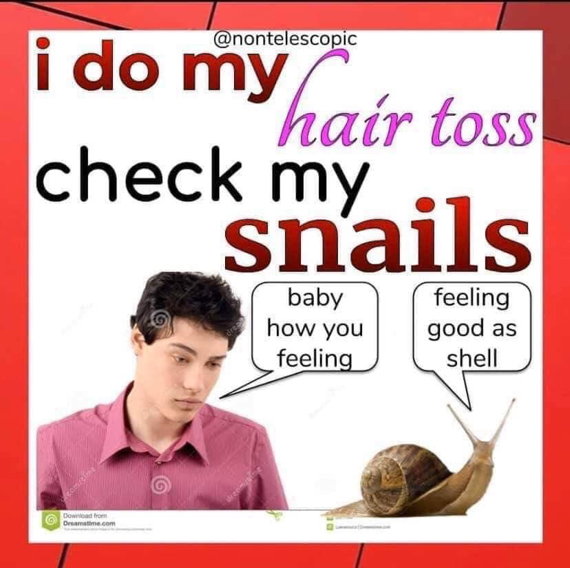 My cousin sent this to me and I wanted to share it with y’all snails