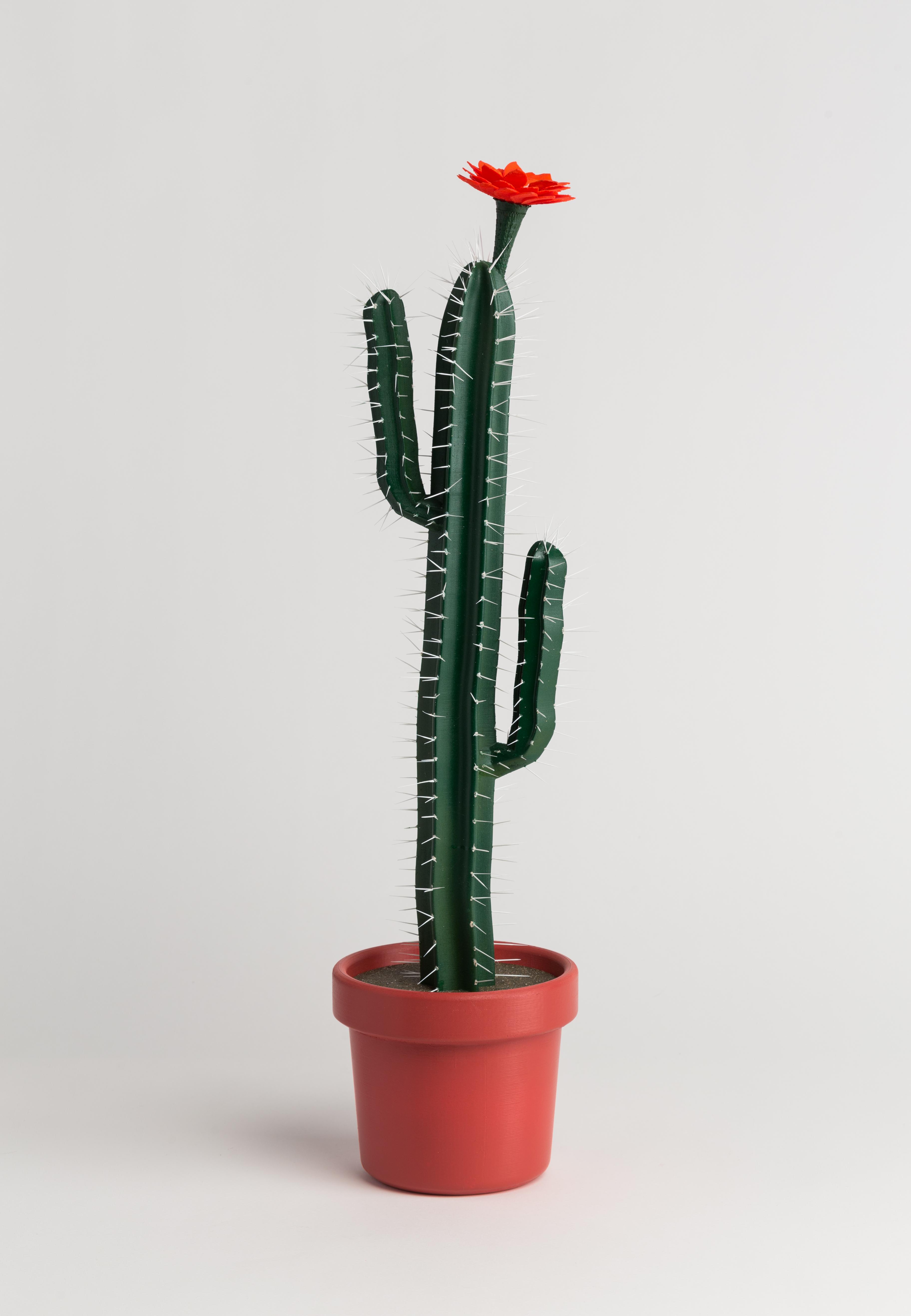 Plastic Cactus, Enamel on PLA, 8” x 8” x 29” r/3Dprinting