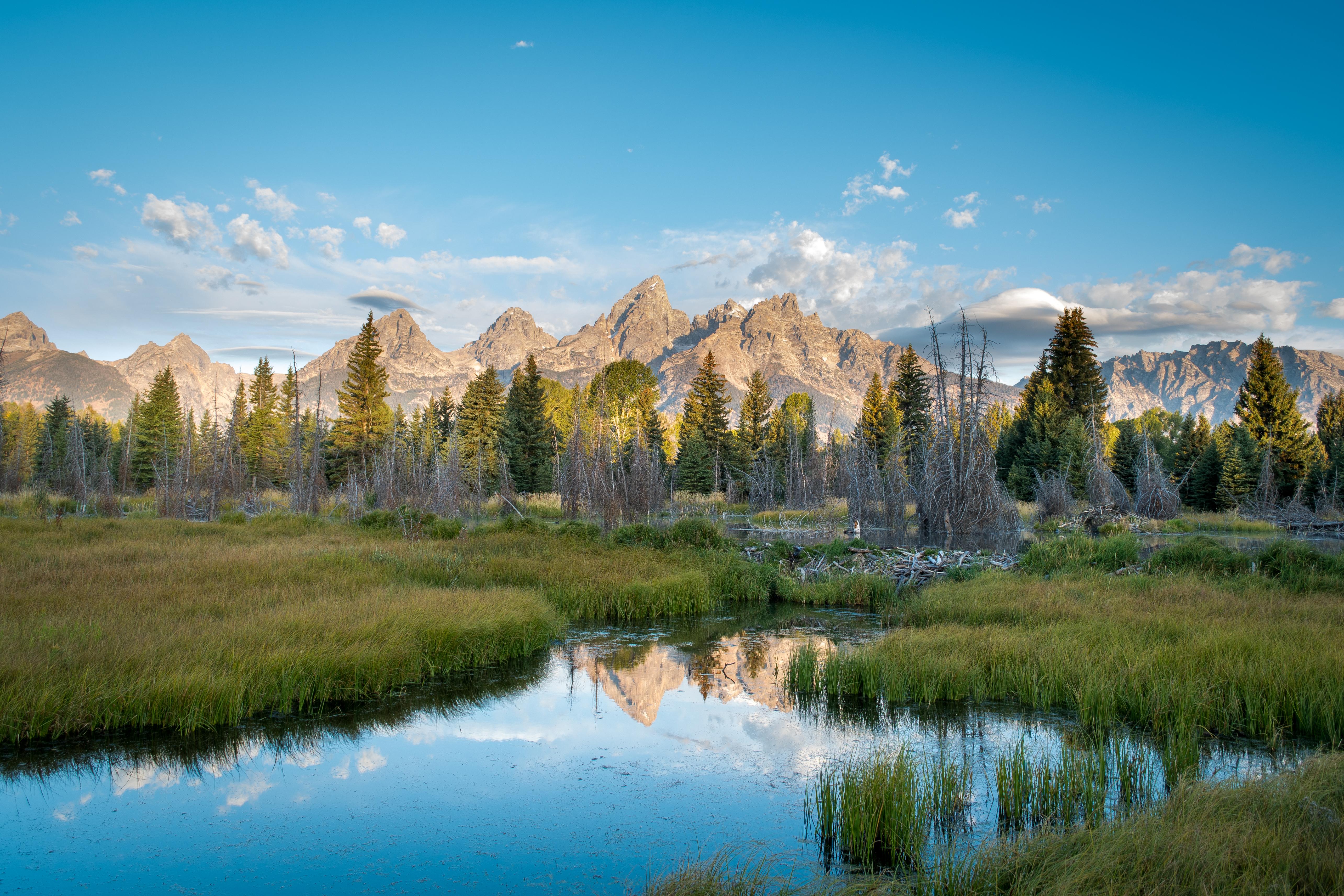 Expose Nature Schwabacher's Landing, Grand Teton National Park