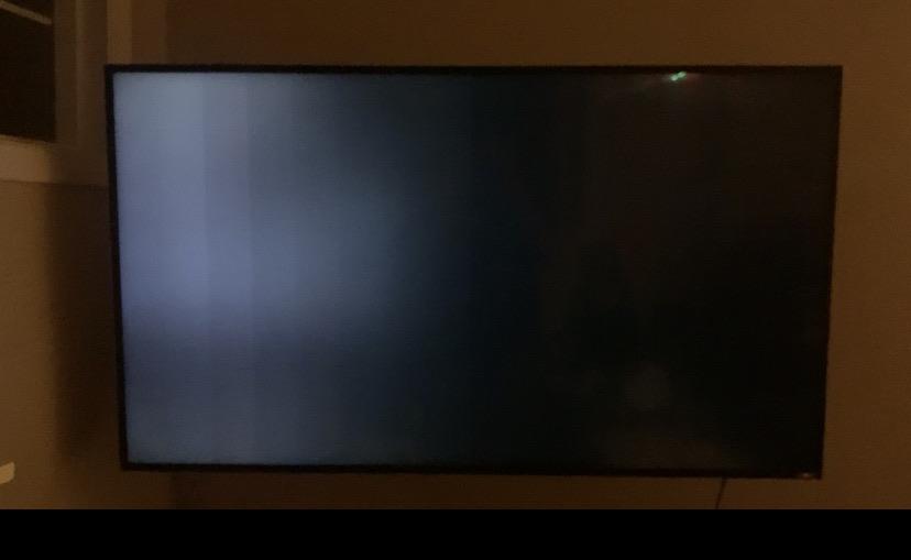 Vizio M60D1 Issue. Backlight seems to work but no image showing