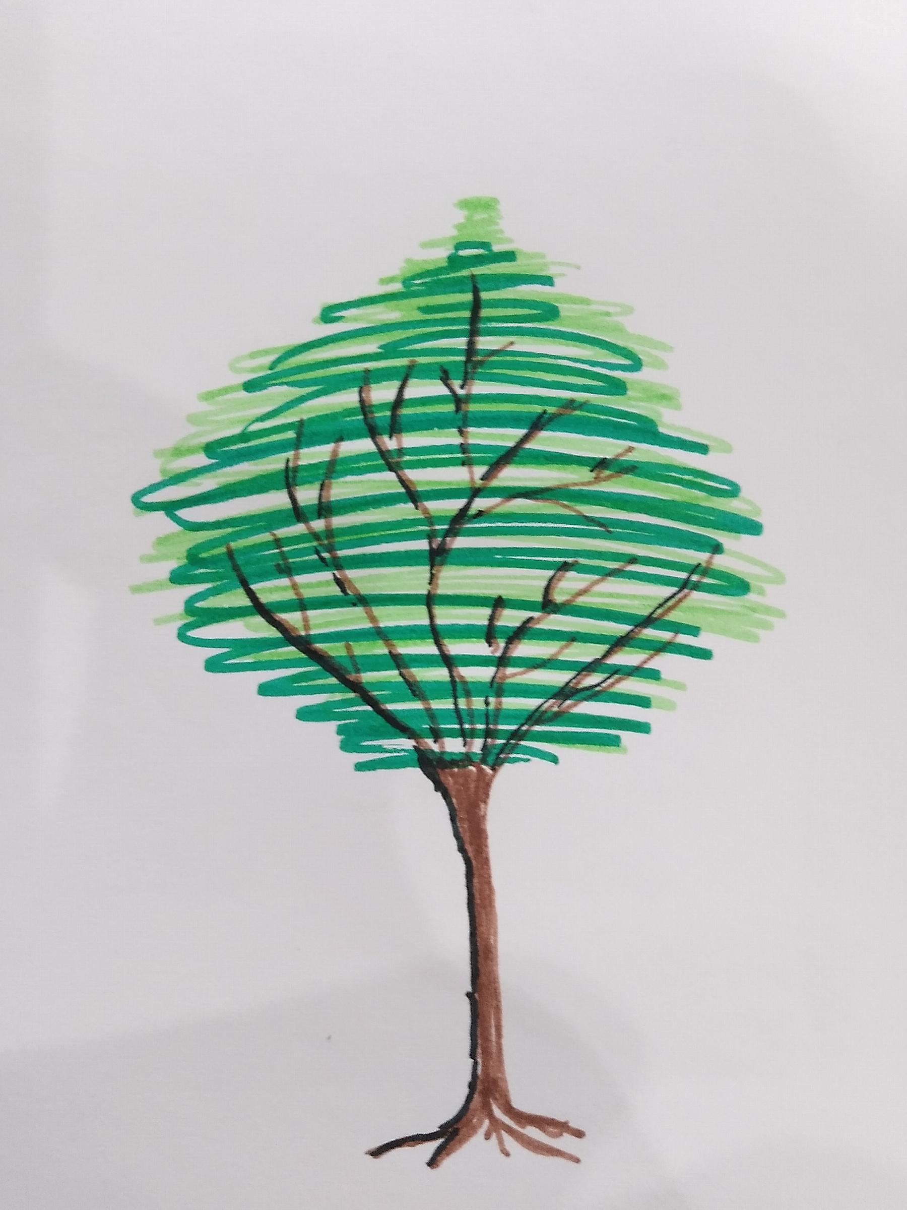 My lil tree I drew cos I was bored r/drawing