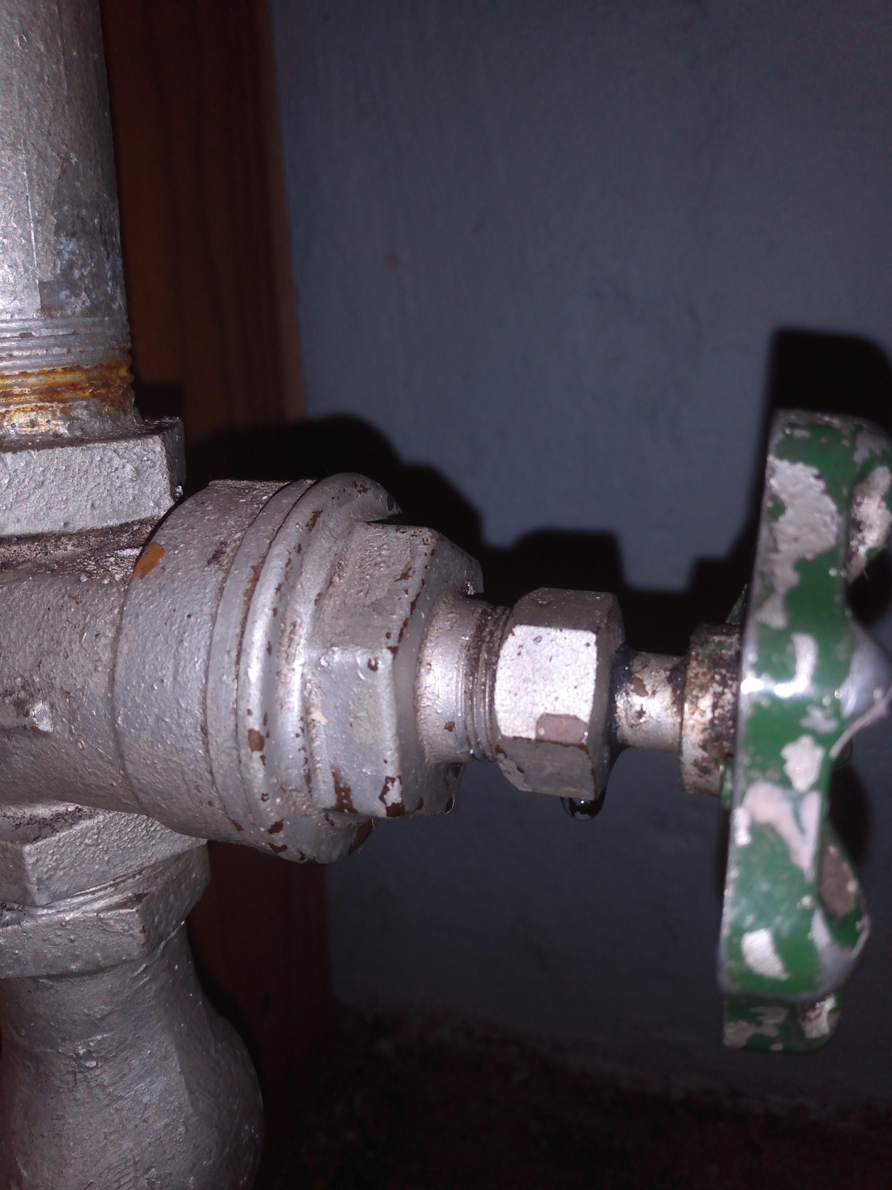 Water Leak from main shut off valve in parents home built in 1956. It