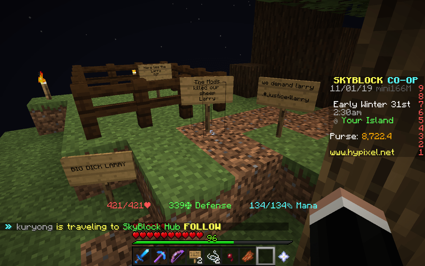 We had a pet sheep that randomly spawned on our private island in