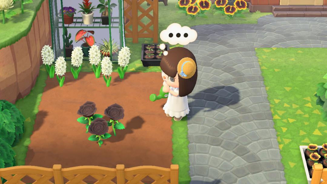 It's been several days but my flowers won't only not breed (hyacinths