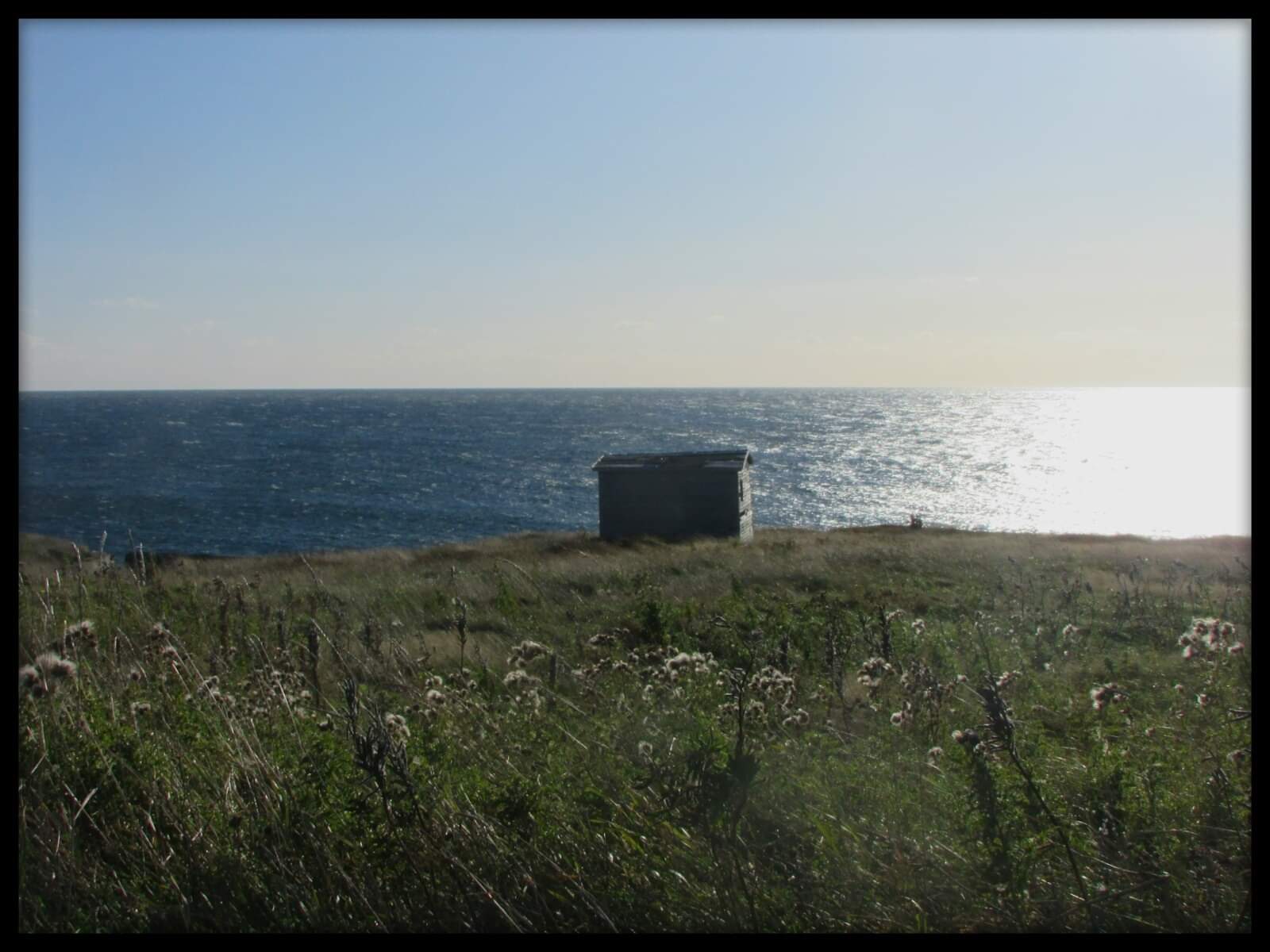 Lower Island Cove r/newfoundland