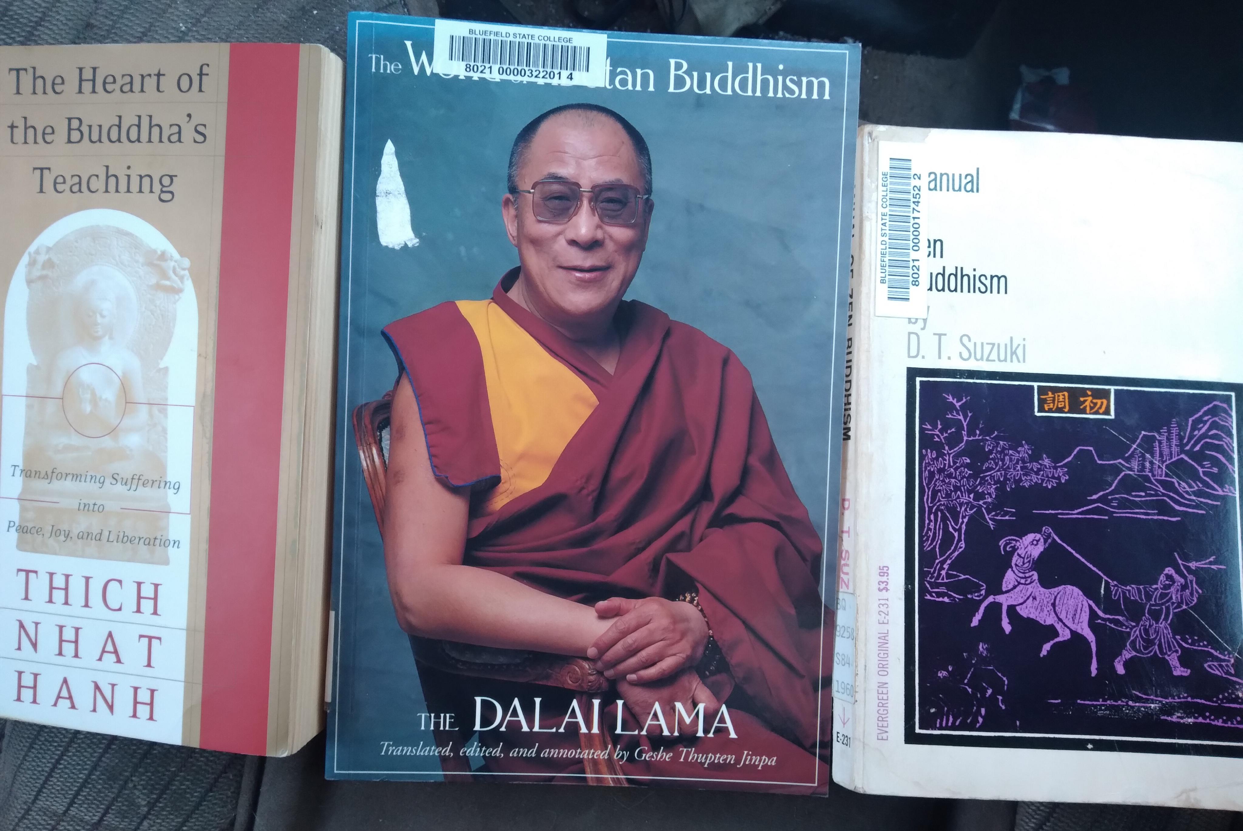 Eager to dive into my library's little collection of Buddhism books