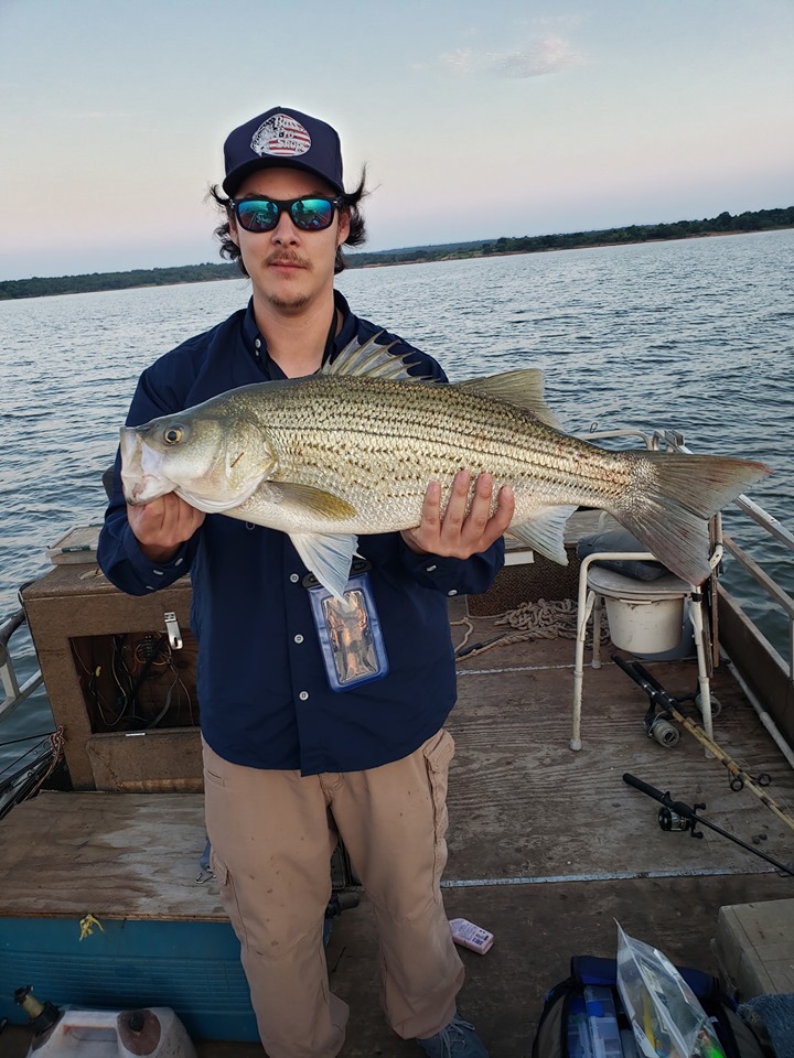 Hybrid striped bass at my local reservoir 9.1lbs 26.5 inches new PB r