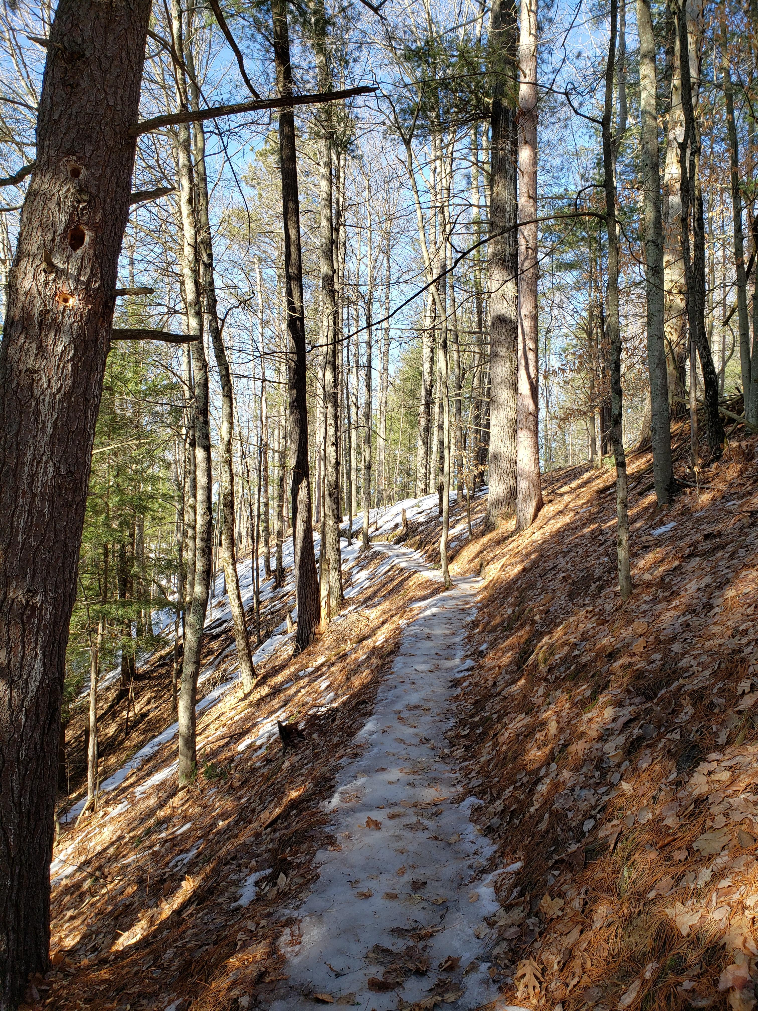 Dispersed camping in west Michigan (preferably north of Grand Rapids