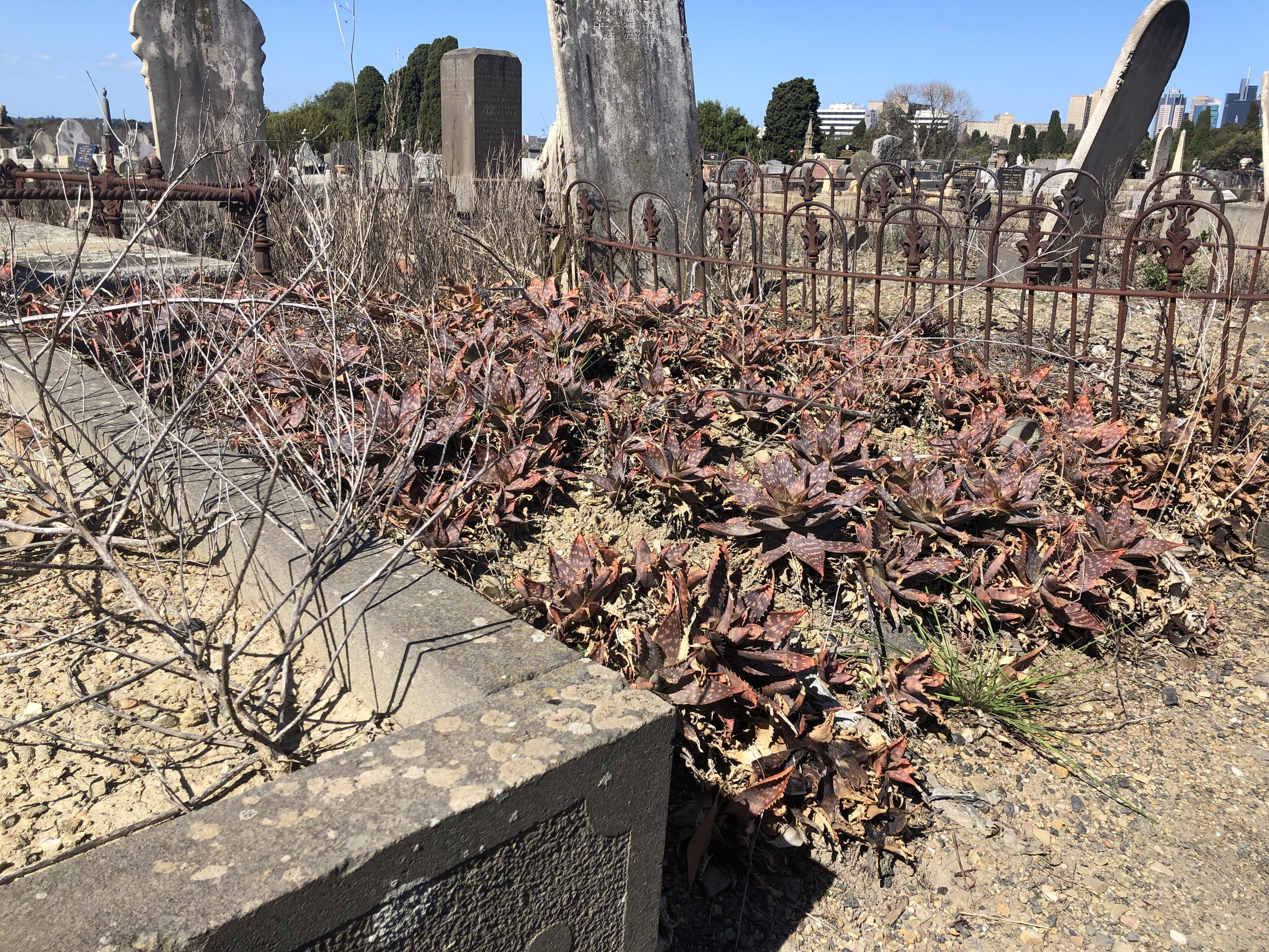 Melbourne General Cemetery r/melbourne
