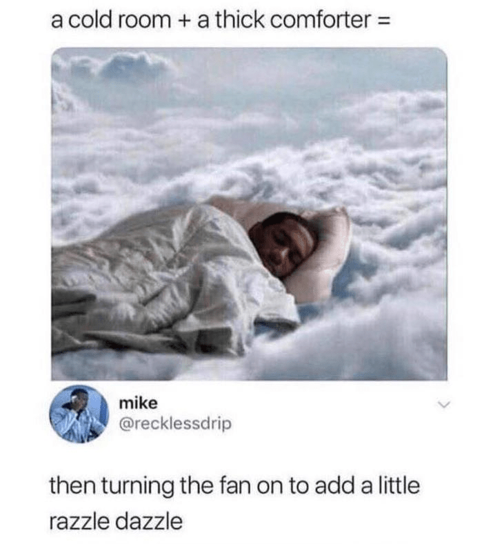 The highest level of comfort. r/memes