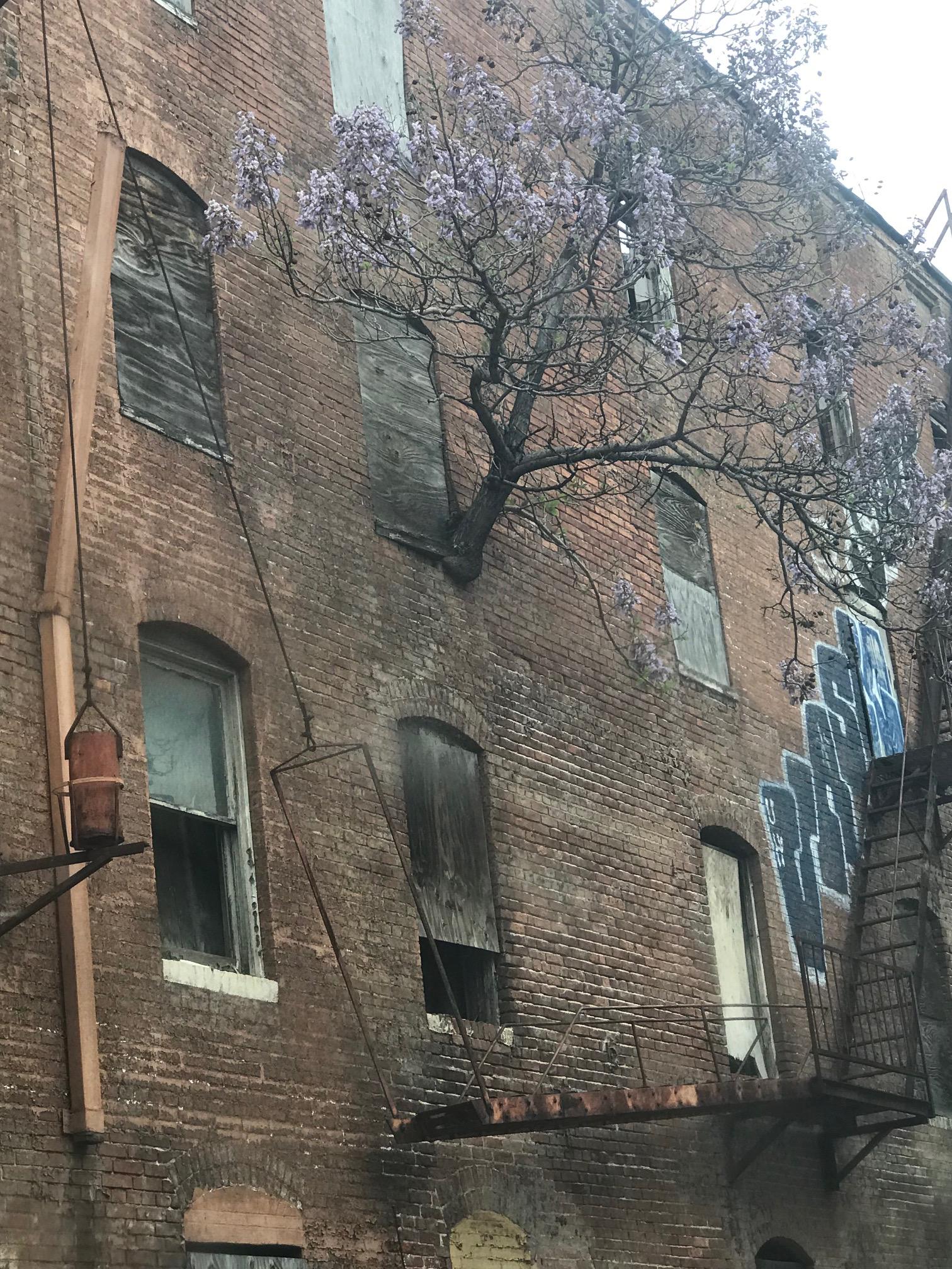 Abandoned Baltimore Row House r/AbandonedPorn