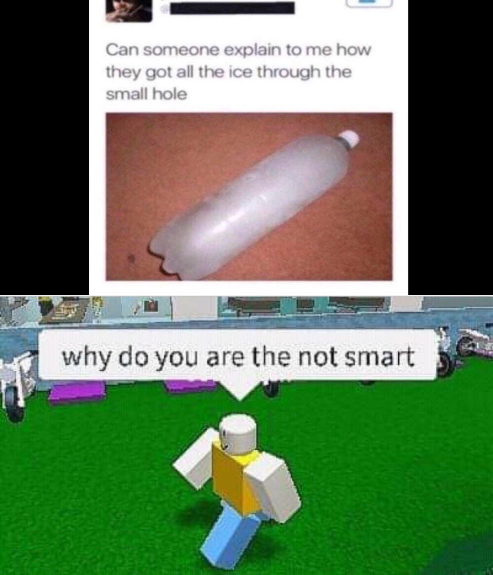 Do you are have stupid? dankmemes