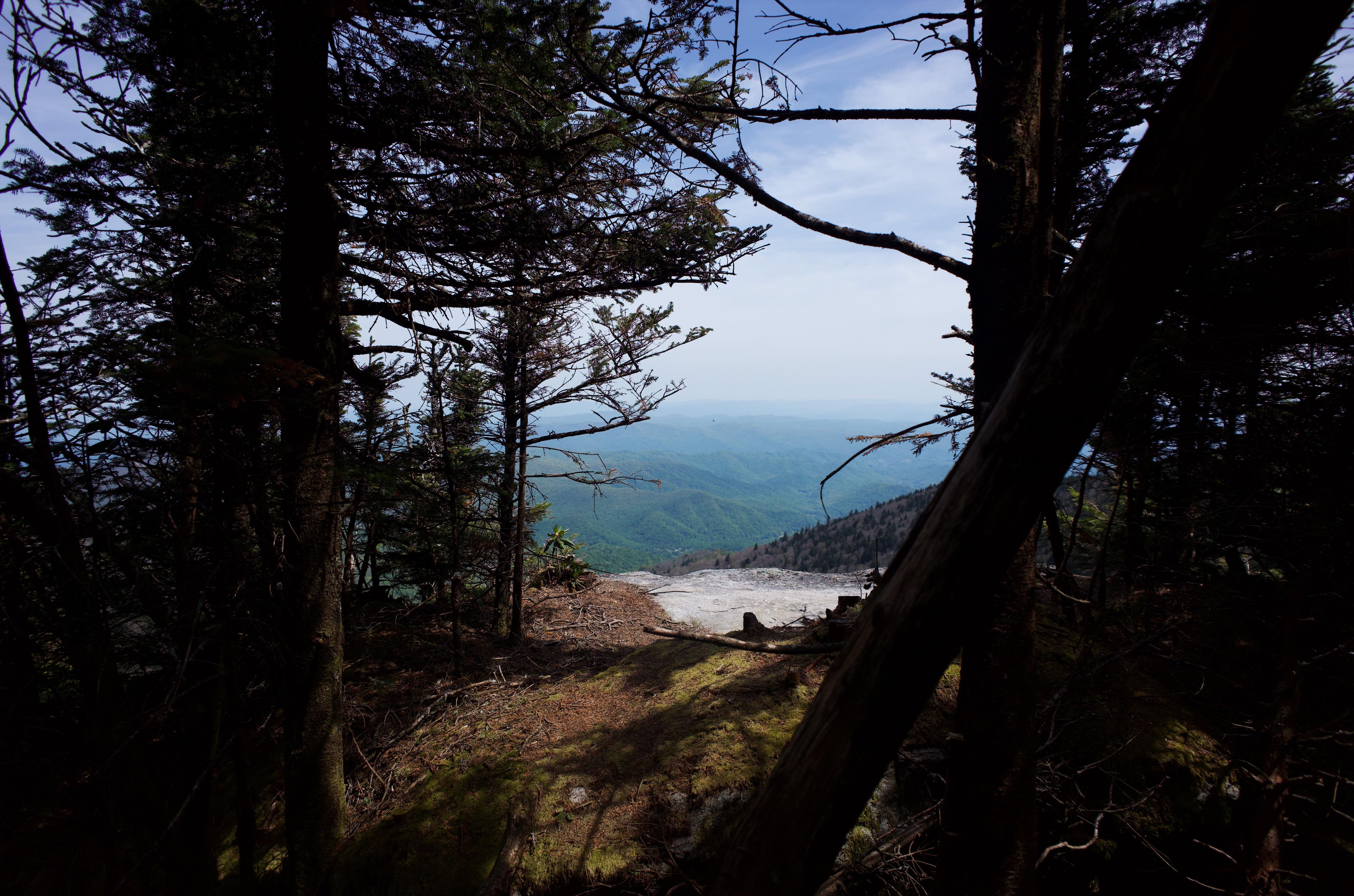 Views from Roan Mountain r/WNC