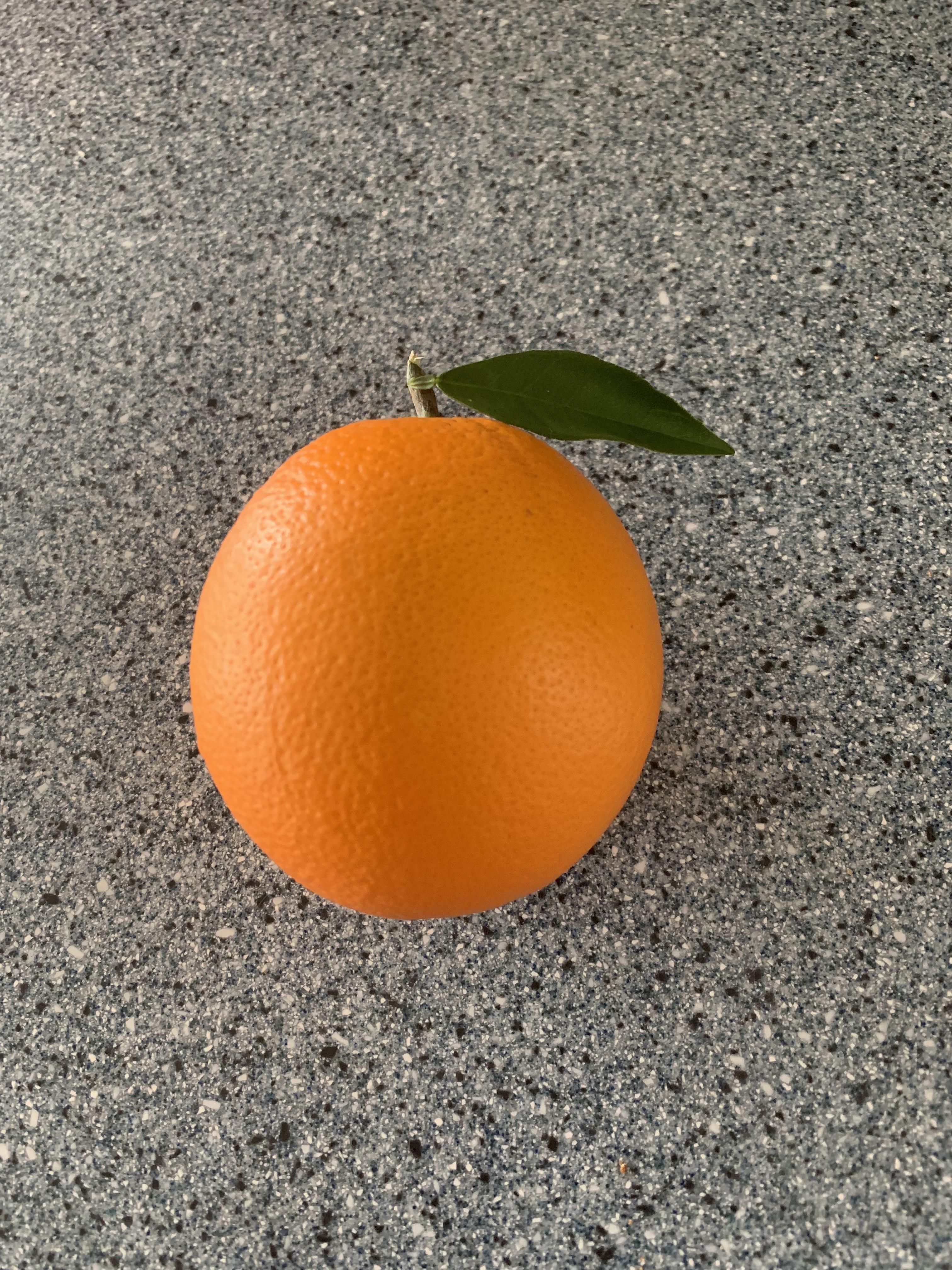 A perfectly shaped orange from our orange tree