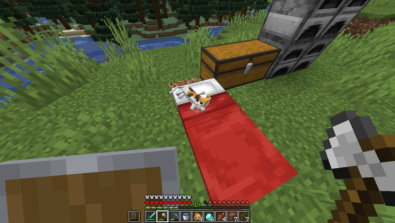 Minecraft kittens are so cute awww r/Minecraft