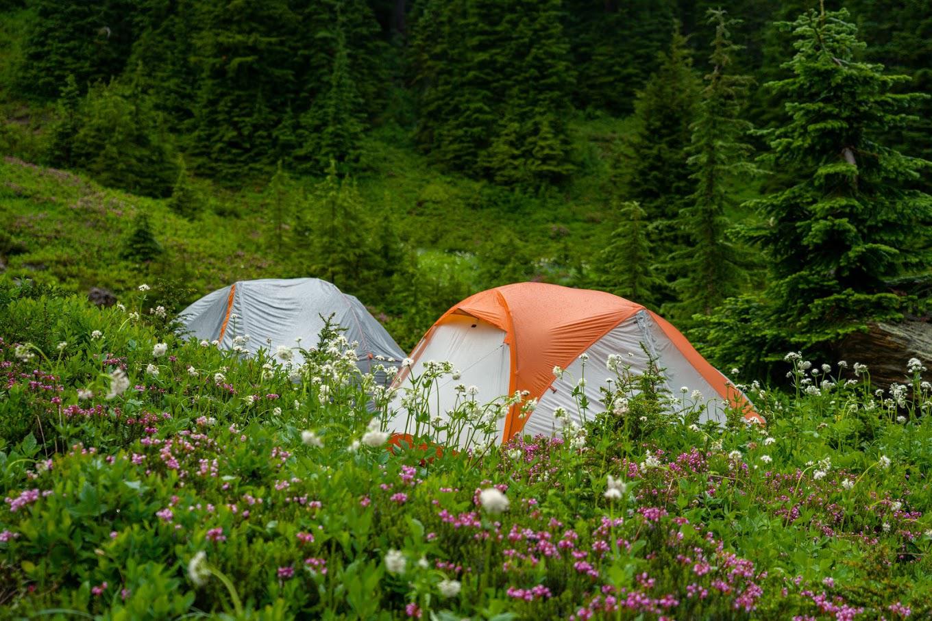 Camping along the PCT earlier this year near Red Pass, WA, USA r/hiking