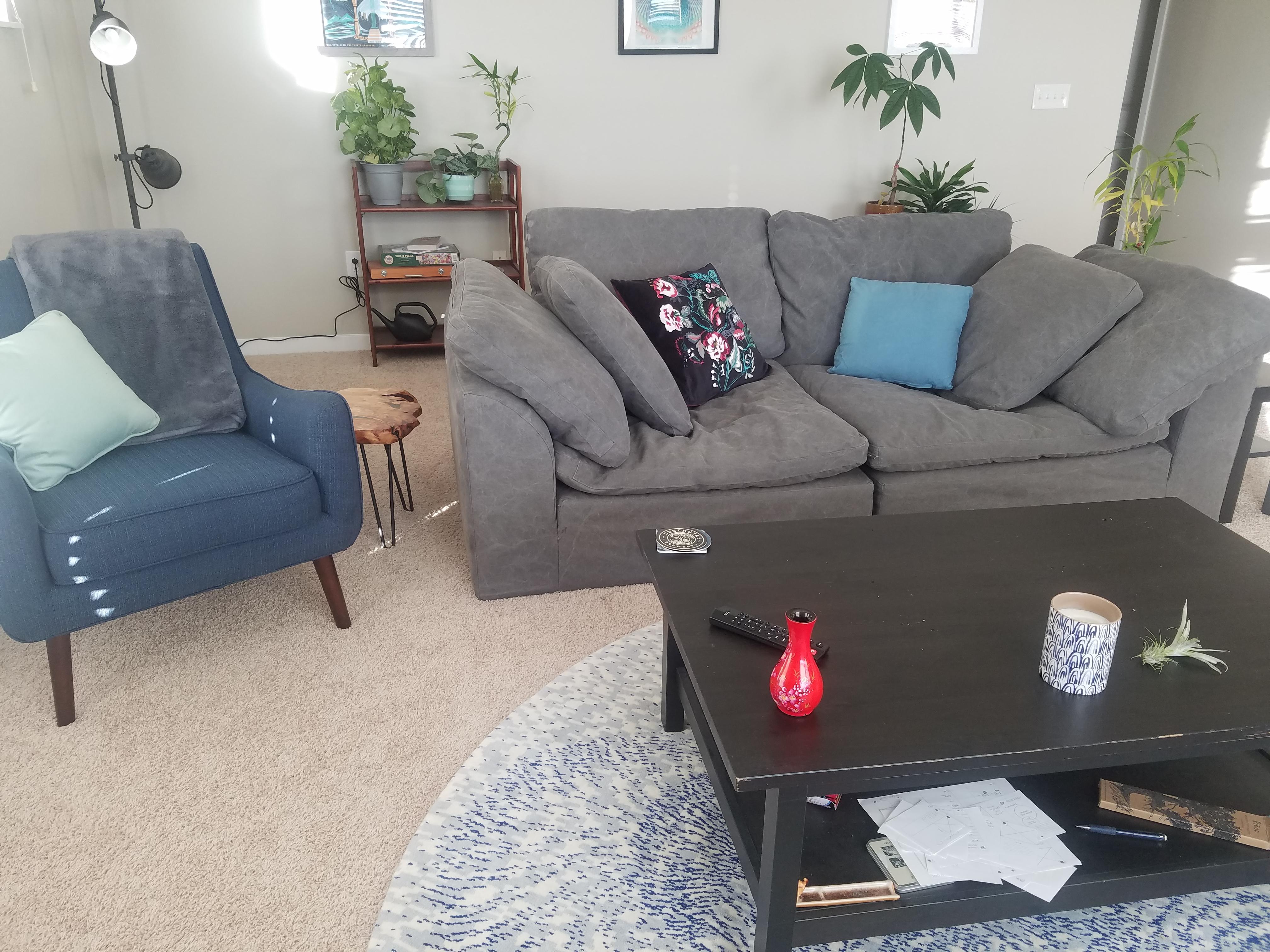 Denver Apartment Living Room First Post malelivingspace