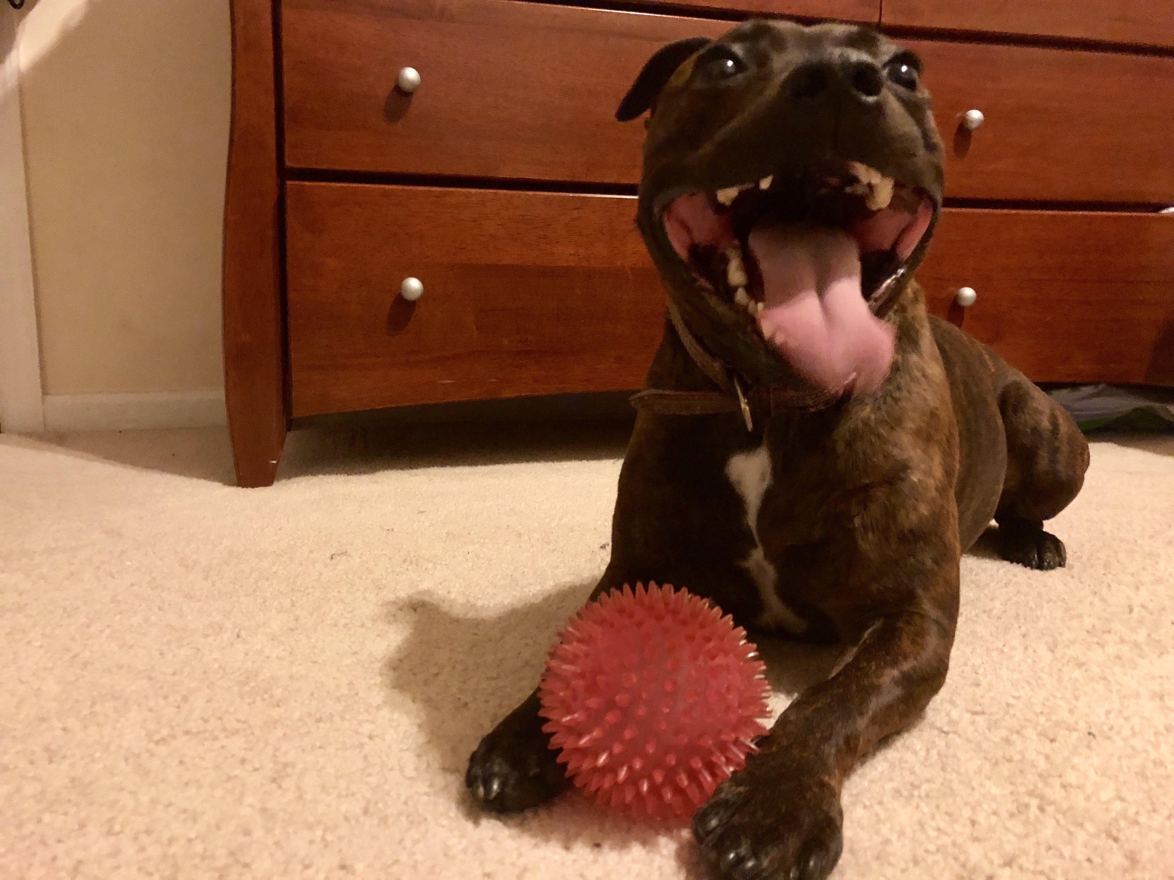 She has the biggest smile! toofers