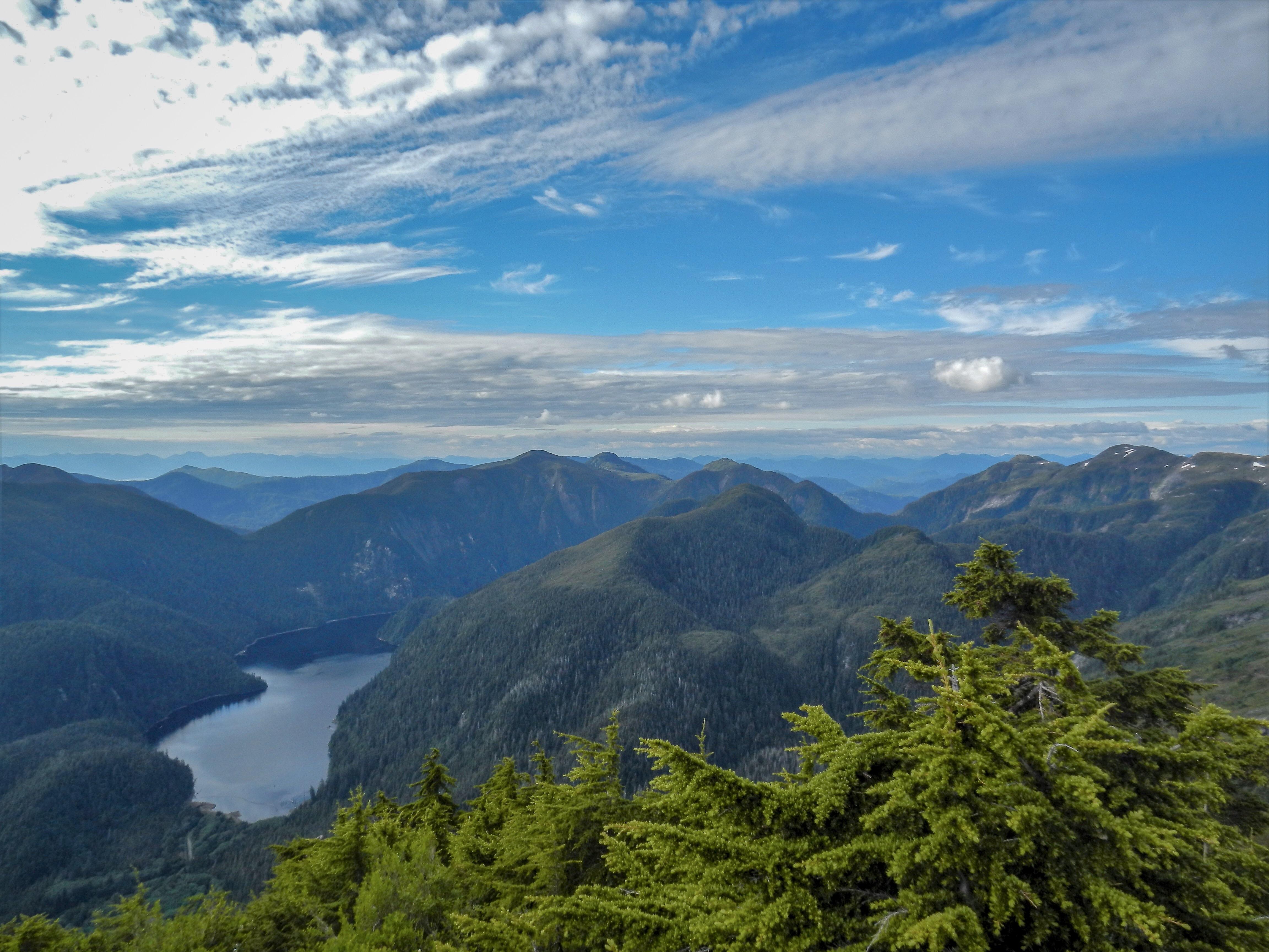 Deer Mountain, Alaska! Worth the 8 mile hike? r/WildernessBackpacking