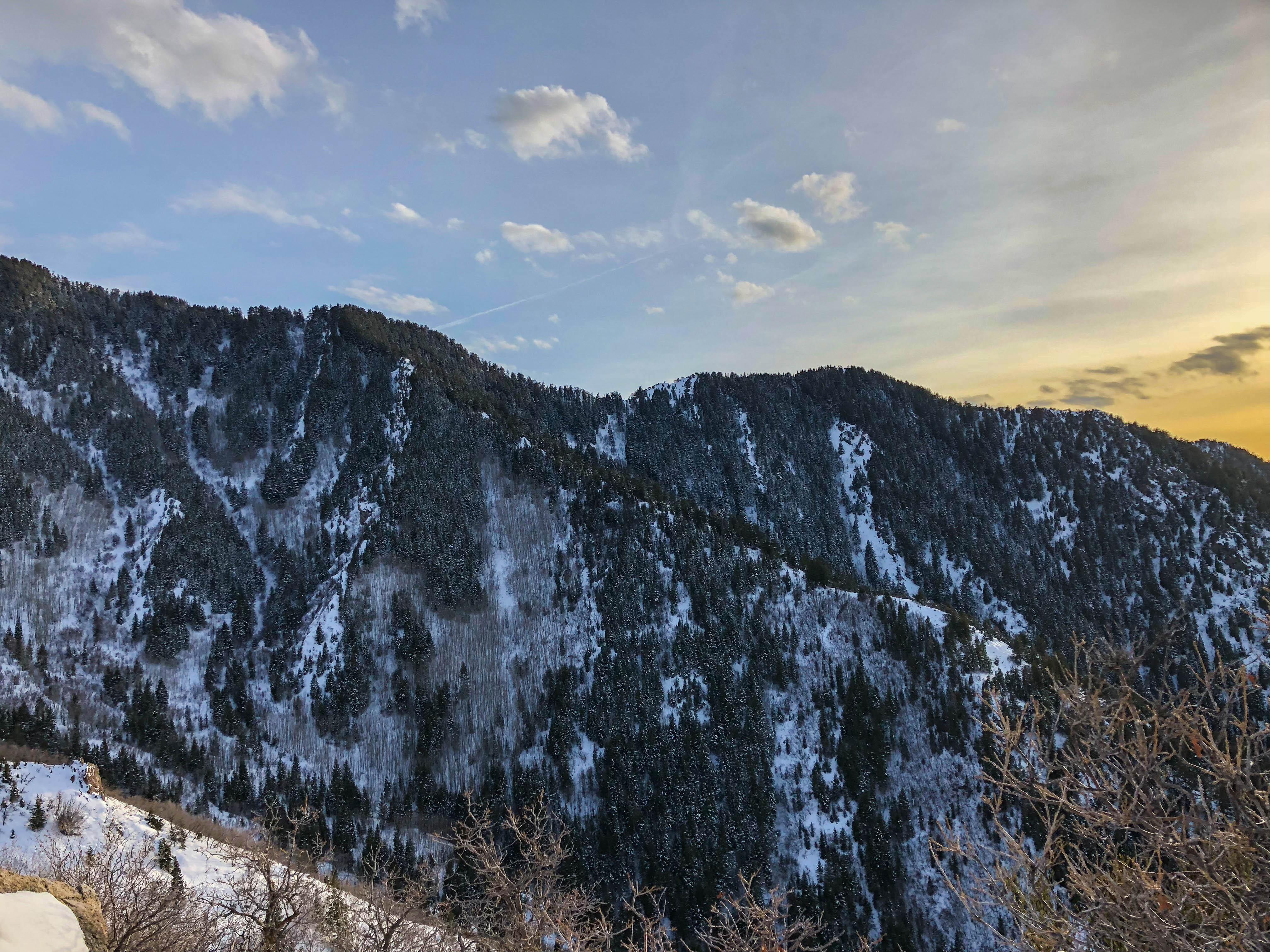 Millcreek Canyon, Salt Lake City, Utah [OC] (4032x3024) r/EarthPorn