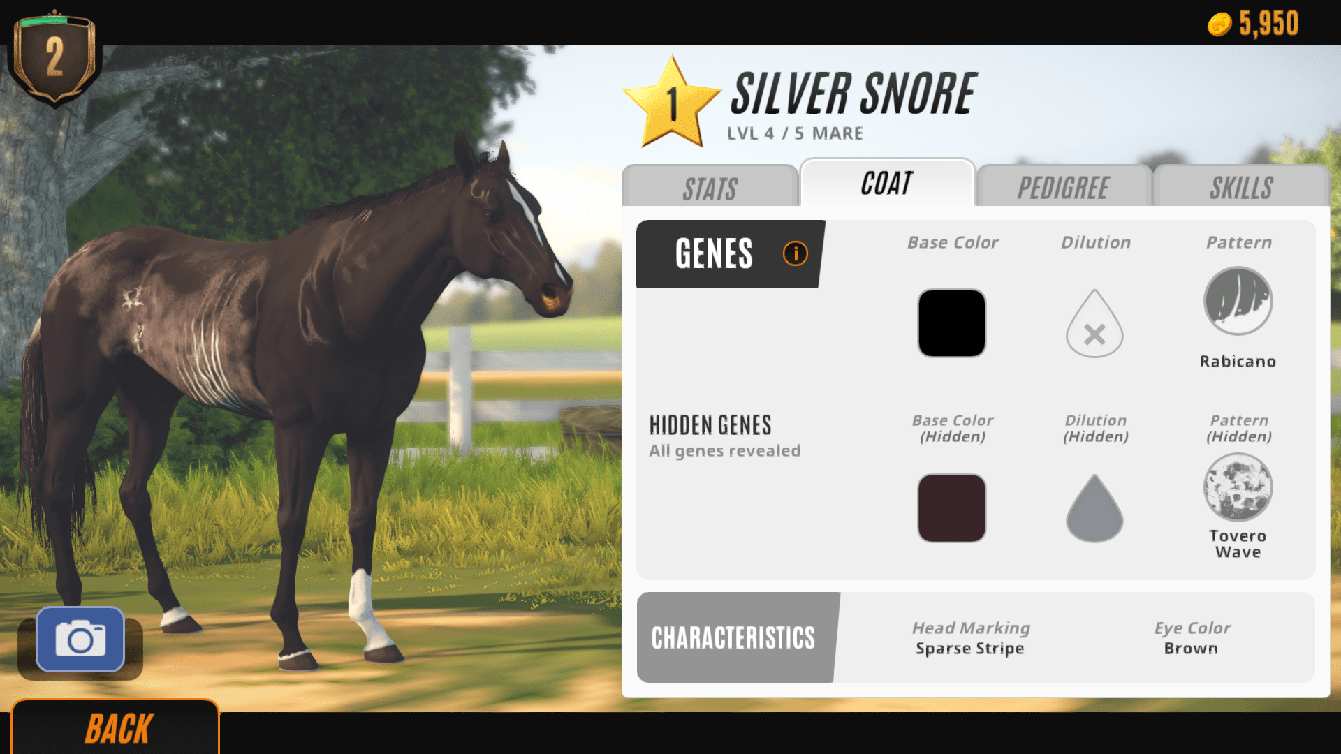 Probably one of the prettiest starter horses I have ever gotten! r