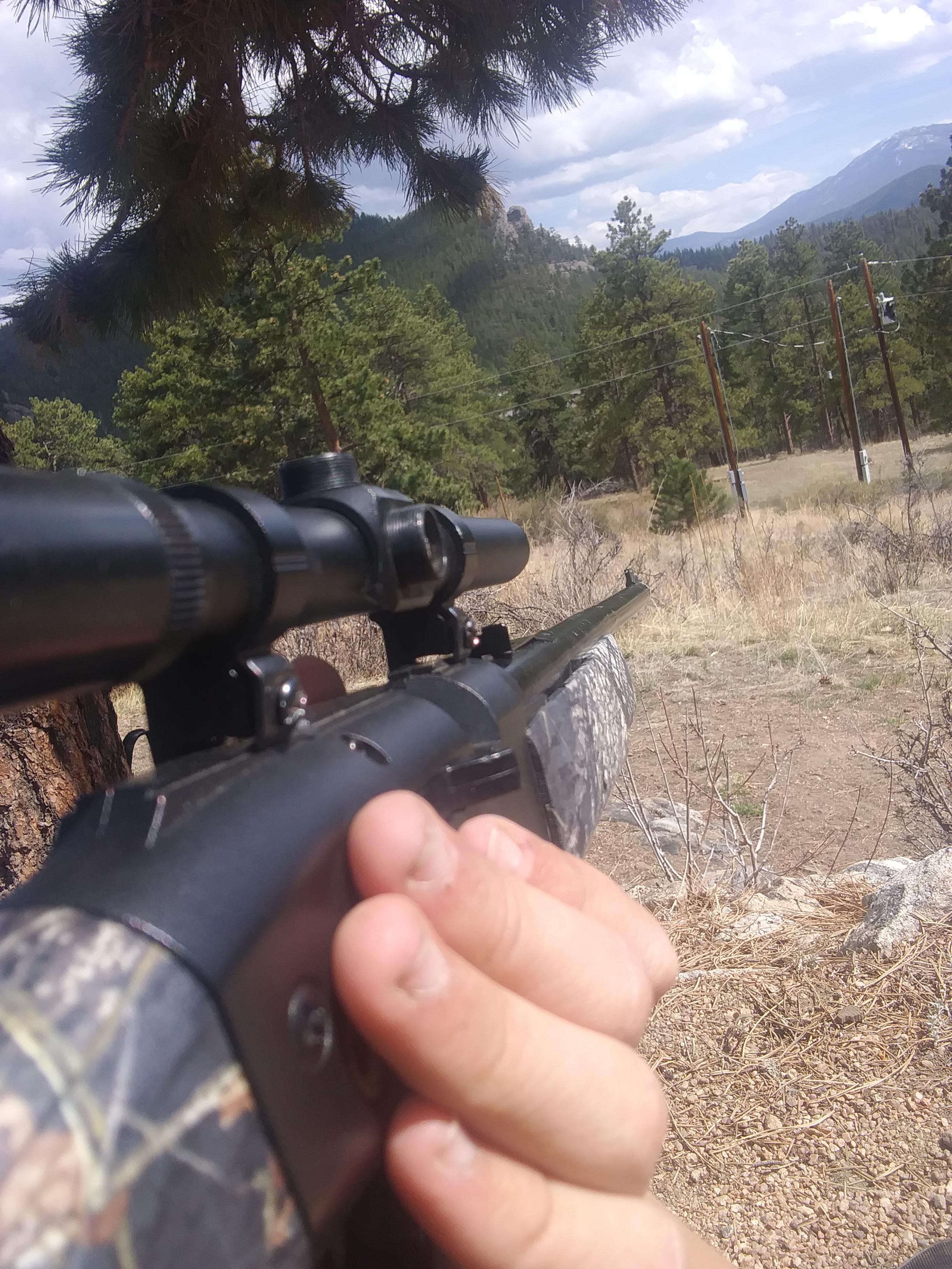 Doing some chipmunk population control with my pellet gun r/Hunting