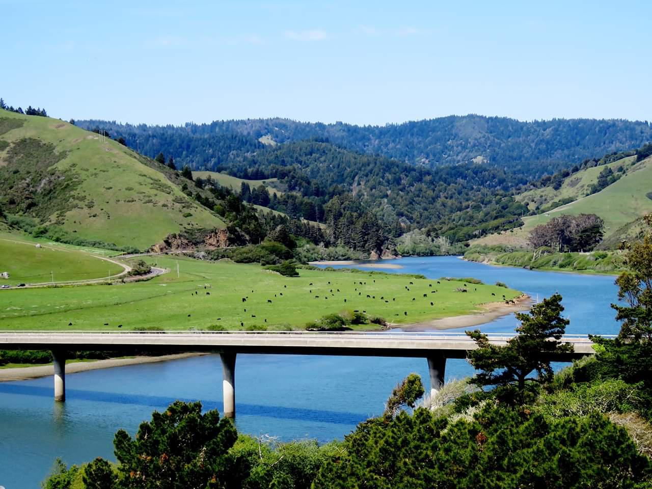 Russian River bridge and Russian River near Jenner,CA. r/bayarea