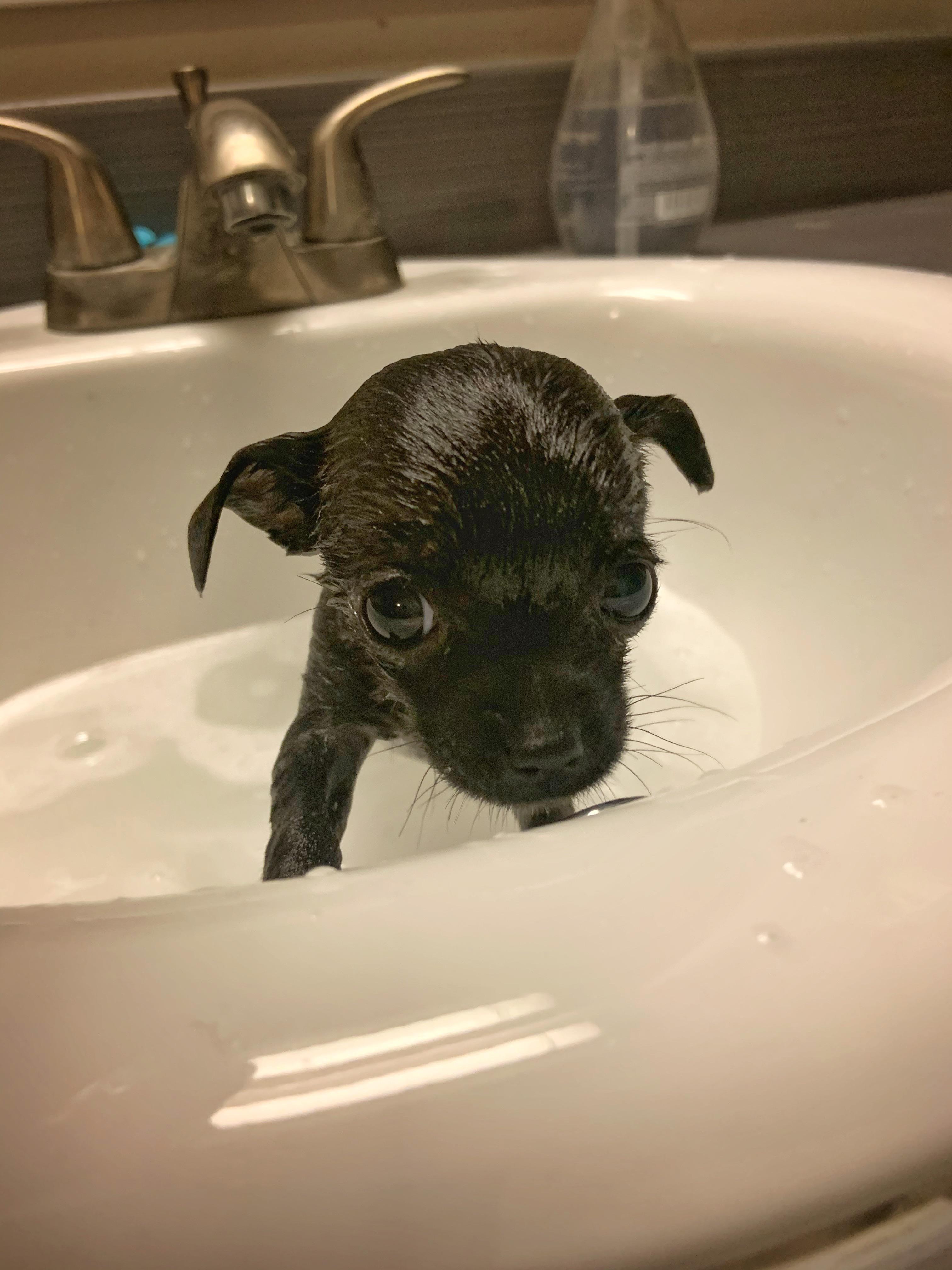 30 Hilarious Heated bath Puns Punstoppable 🛑