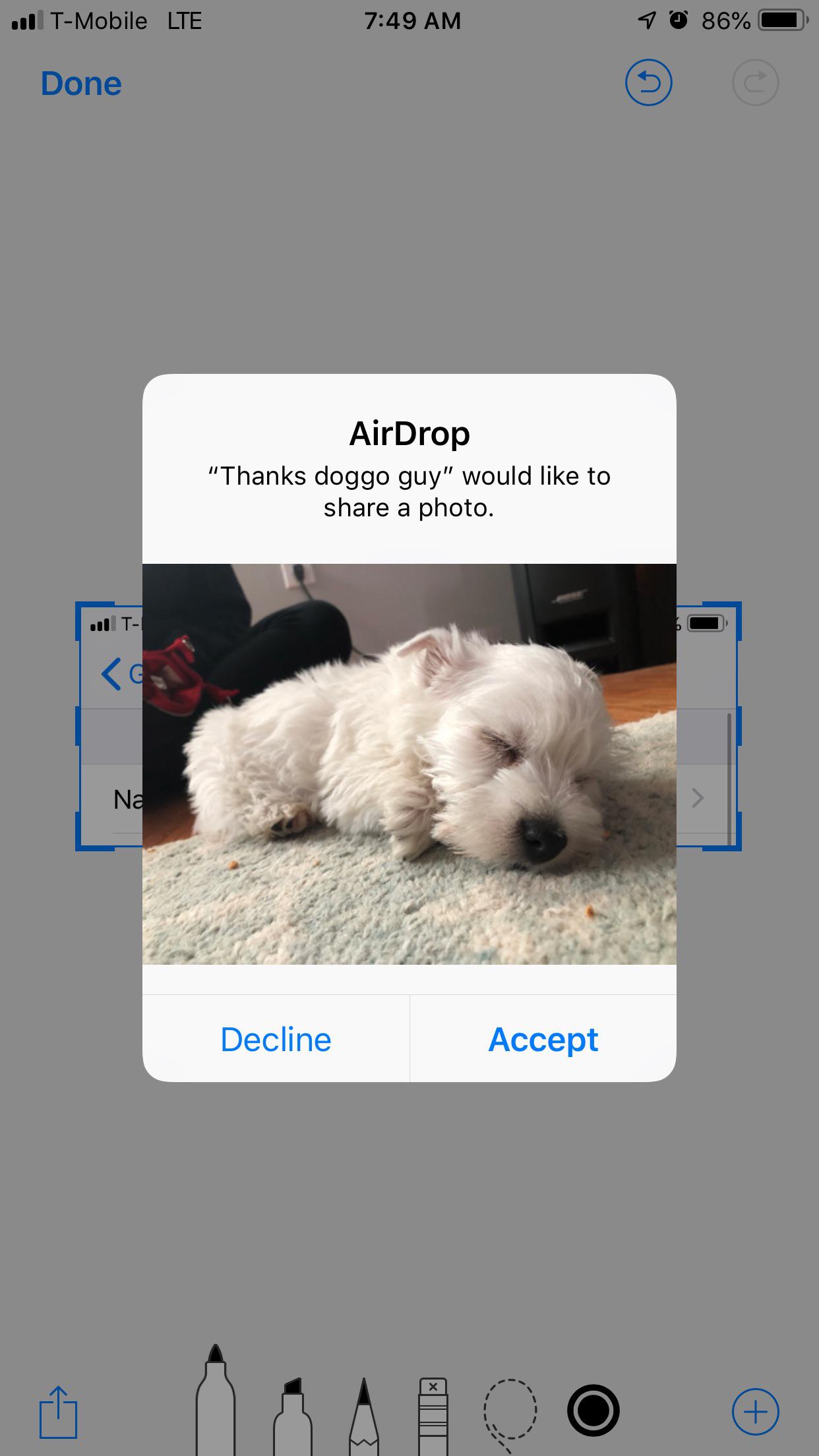 Cute Funny Pictures To Airdrop