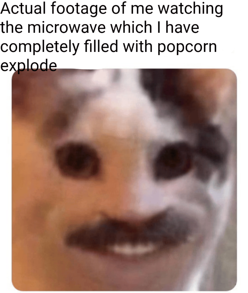 Mustache Photos Mustache Meme Face