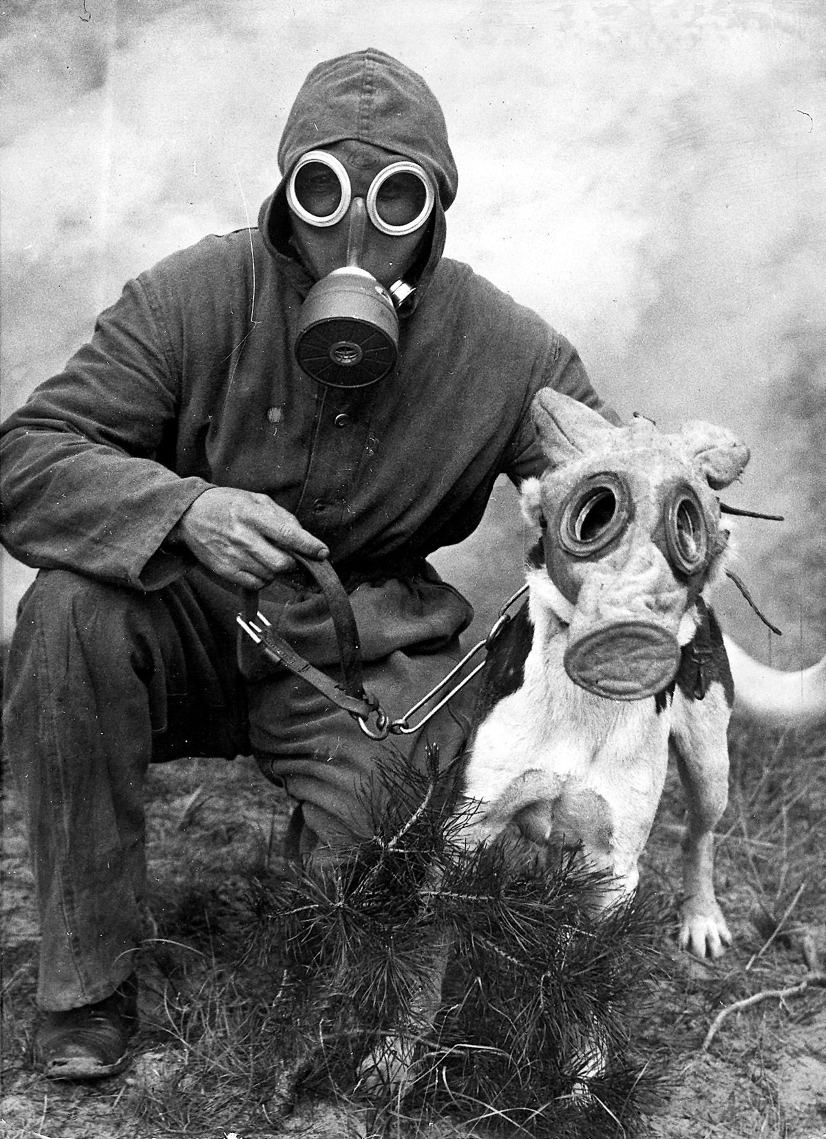 A soldier and his dog in the aftermath of a Gas attack, WW1, 1916 r