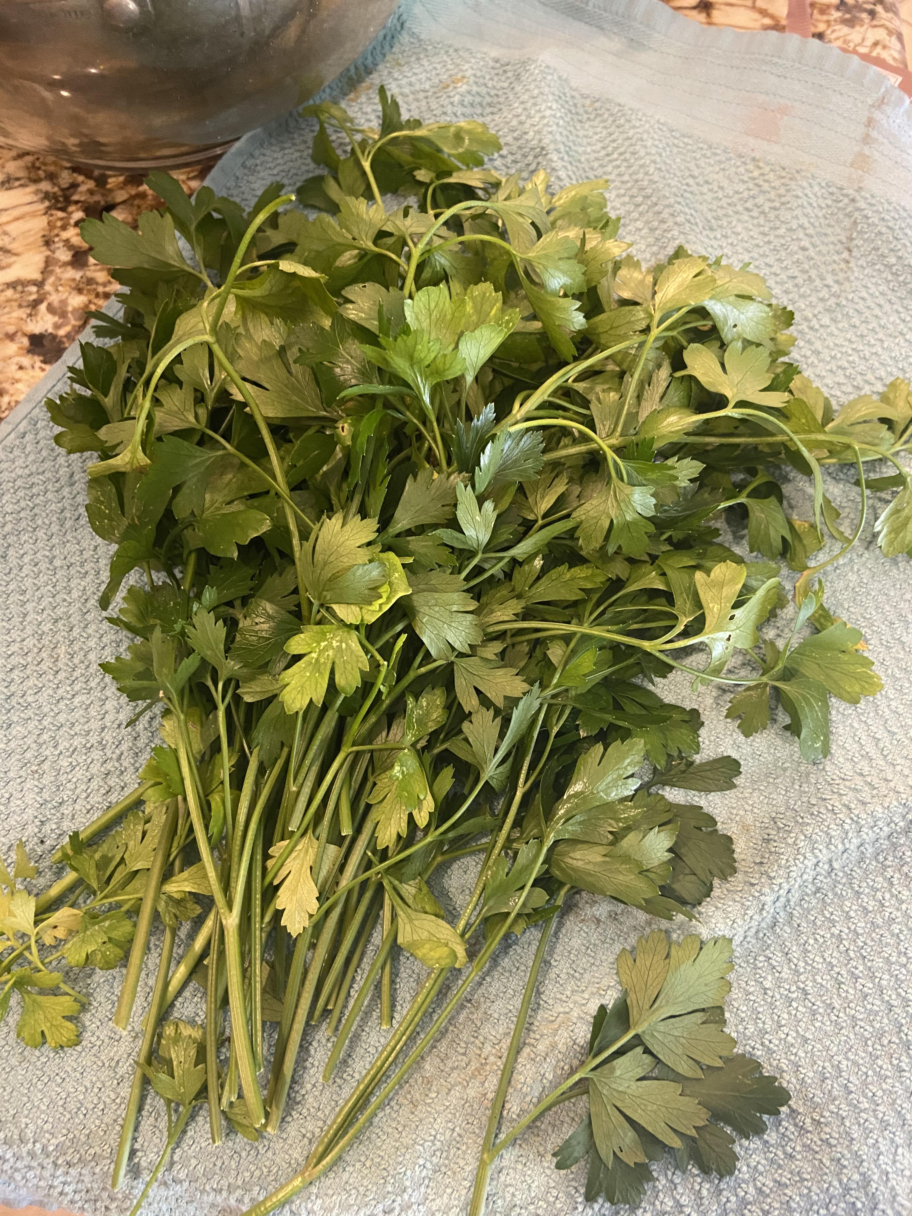 Where Can I Buy Gypsum For My Garden / When in doubt buy a plant. Reems