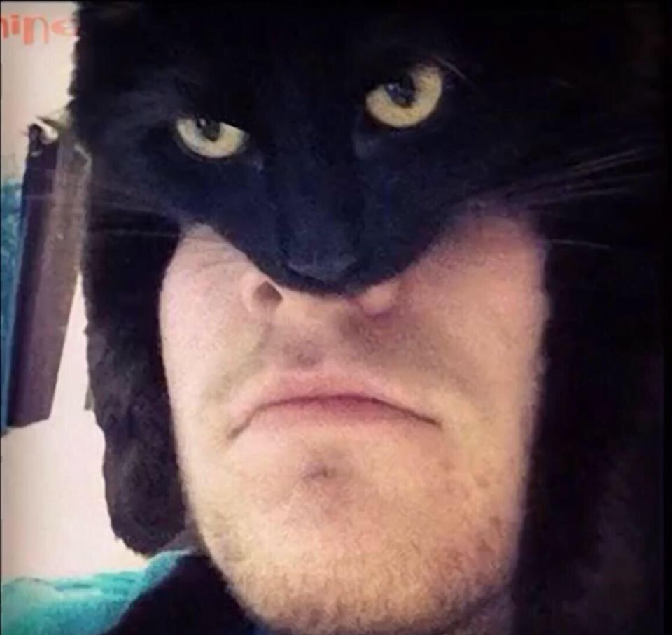 Best part of owning a black cat? You can CATMAN r/pics