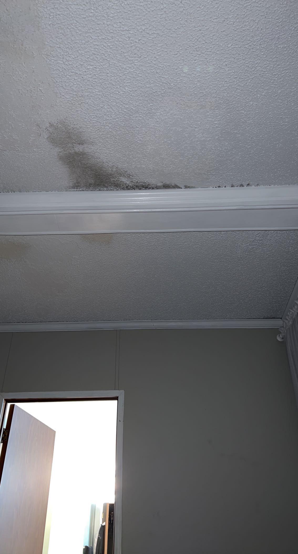 Black mold on ceiling? I know it wasn’t like that last week r