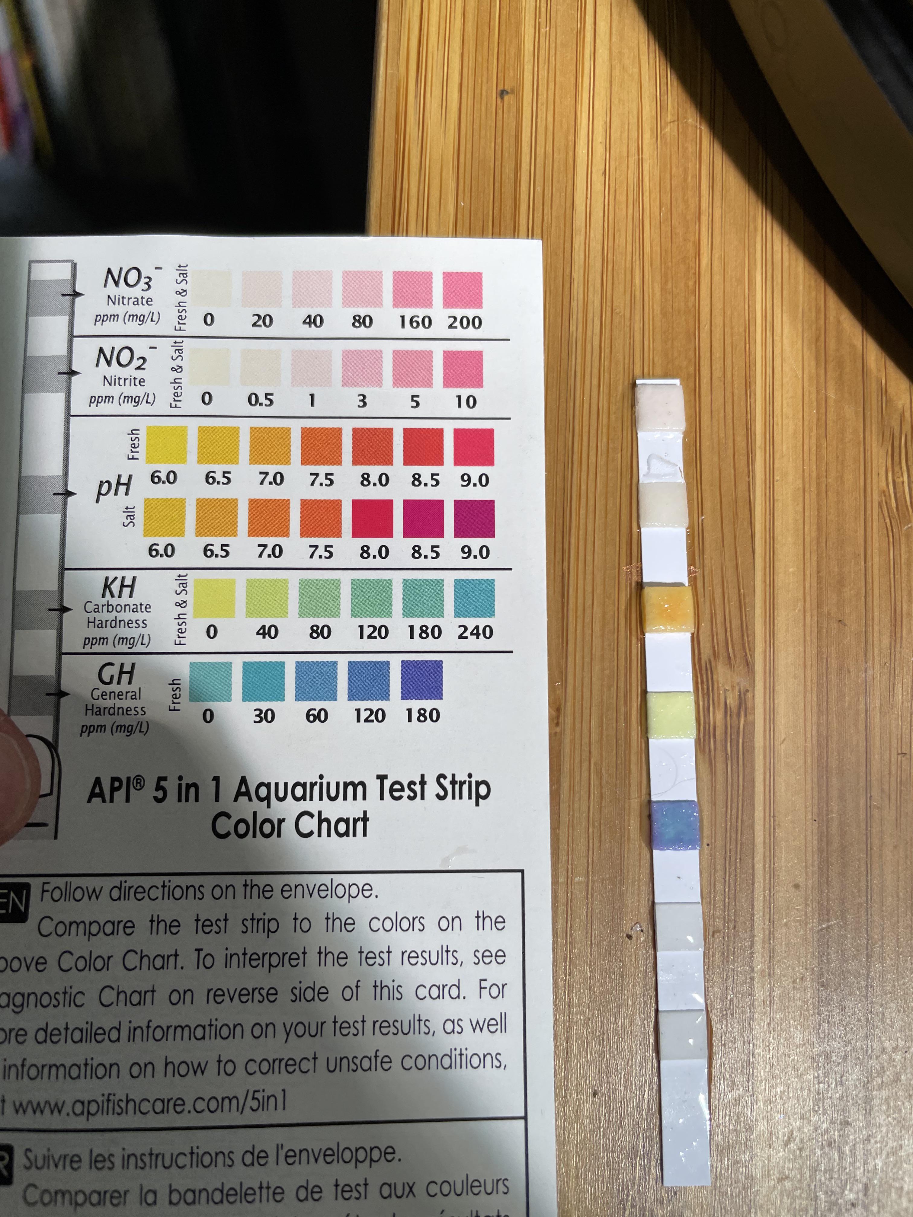 are my water levels ready for my betta to be added to the tank? r