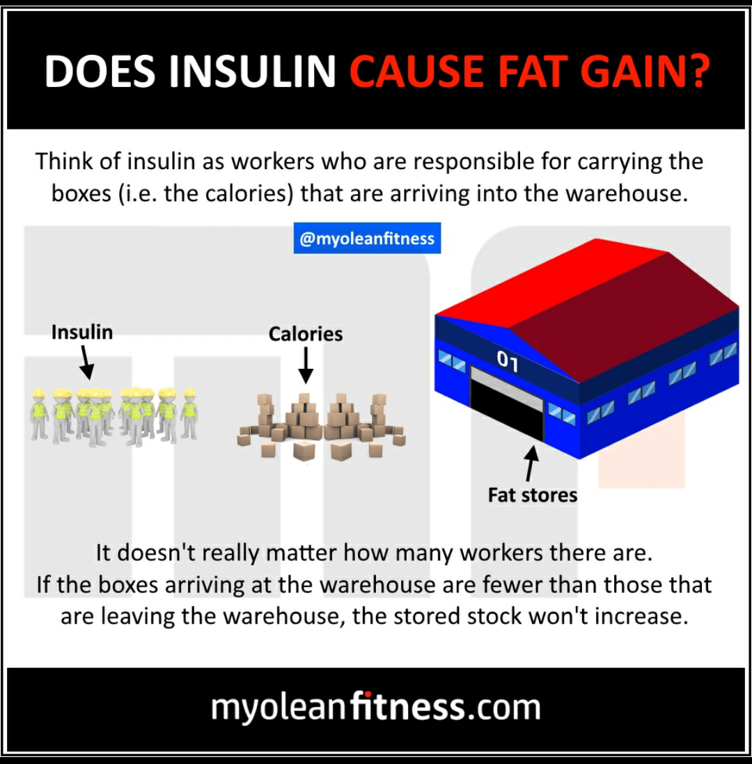 Does insulin cause fat gain? r/fatlogic