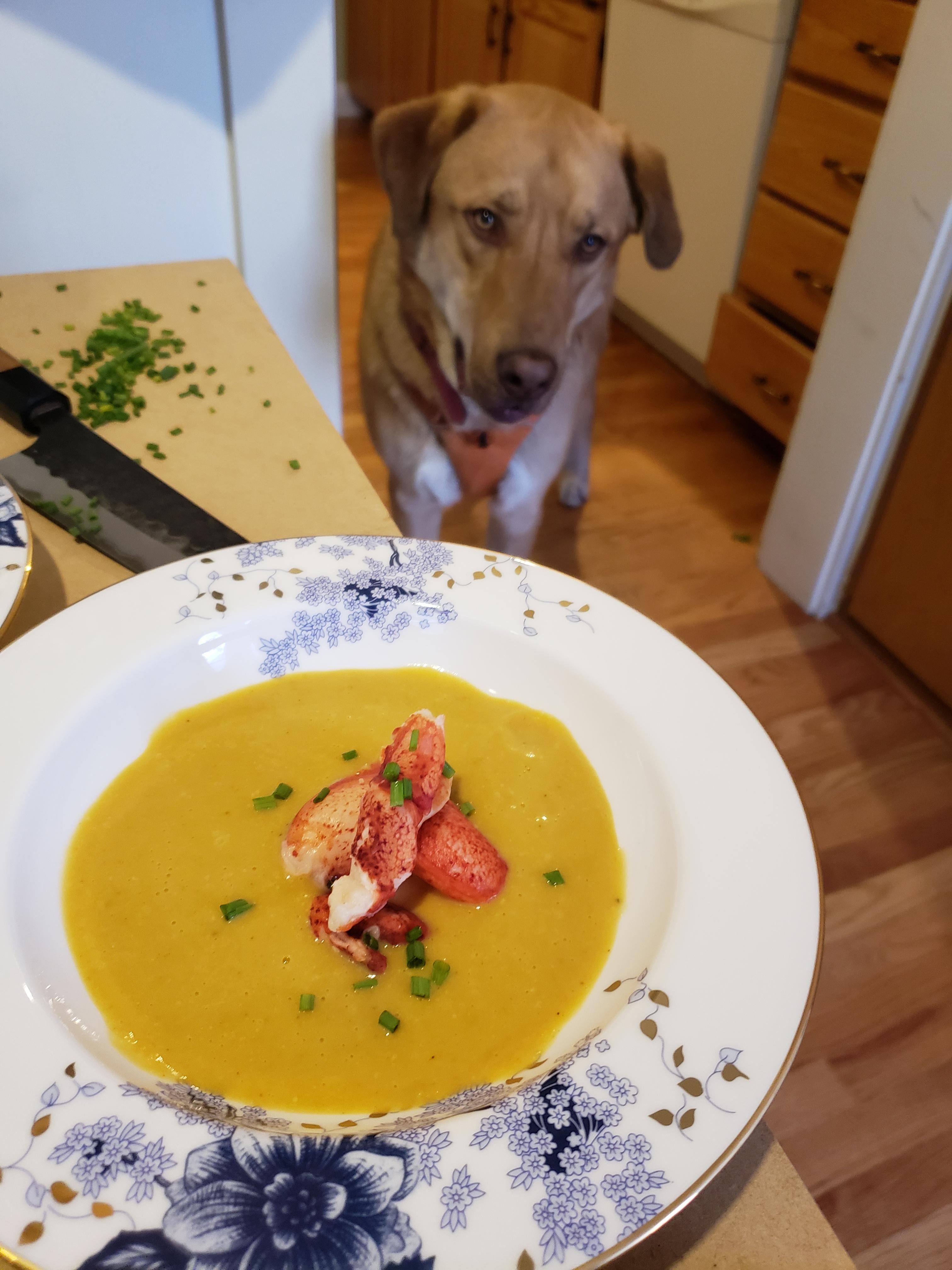 [Homemade] butternut squash bisque with lobster r/food