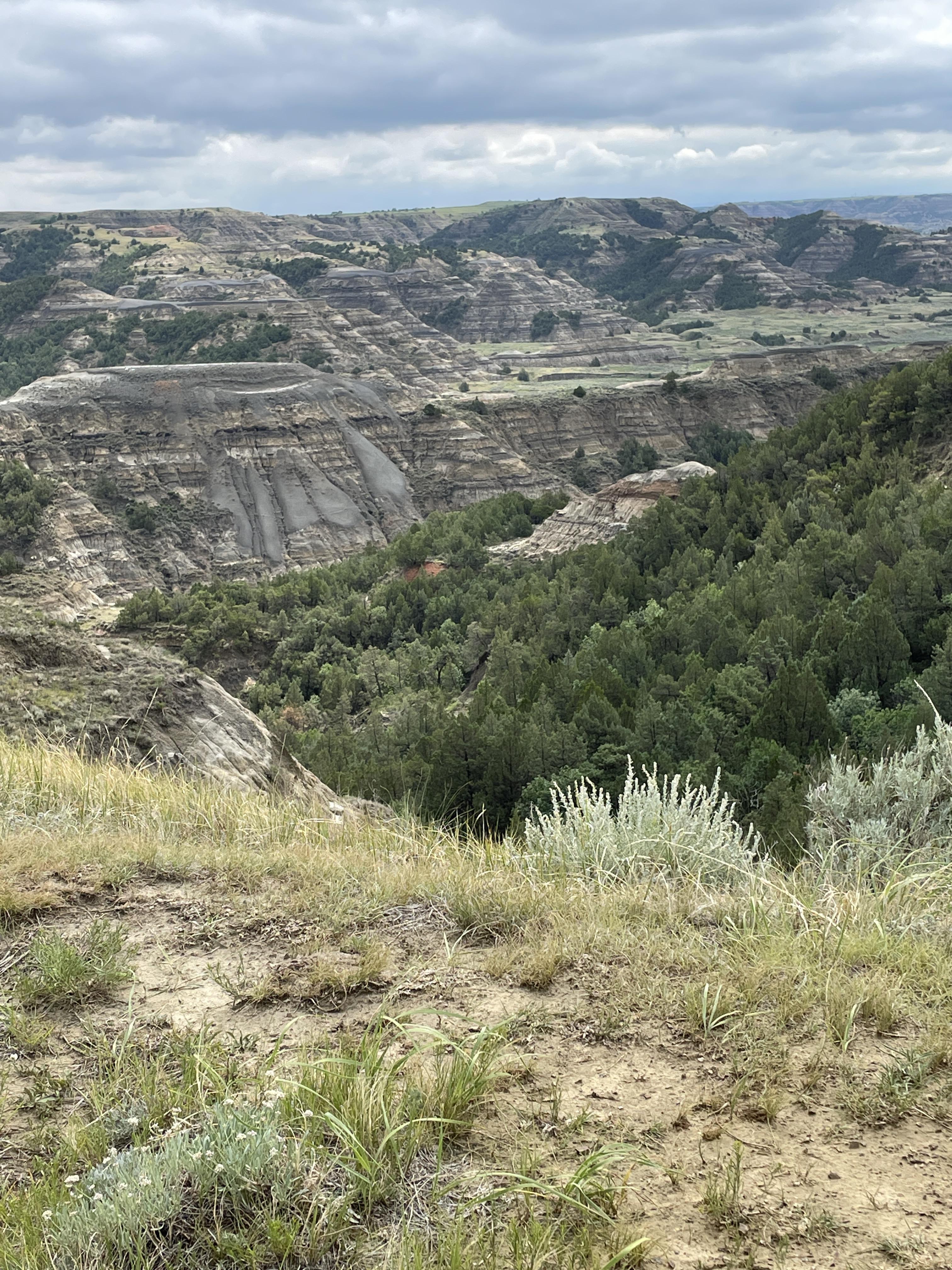 TRNP north unit. Even with the fires this spring it is so much greener