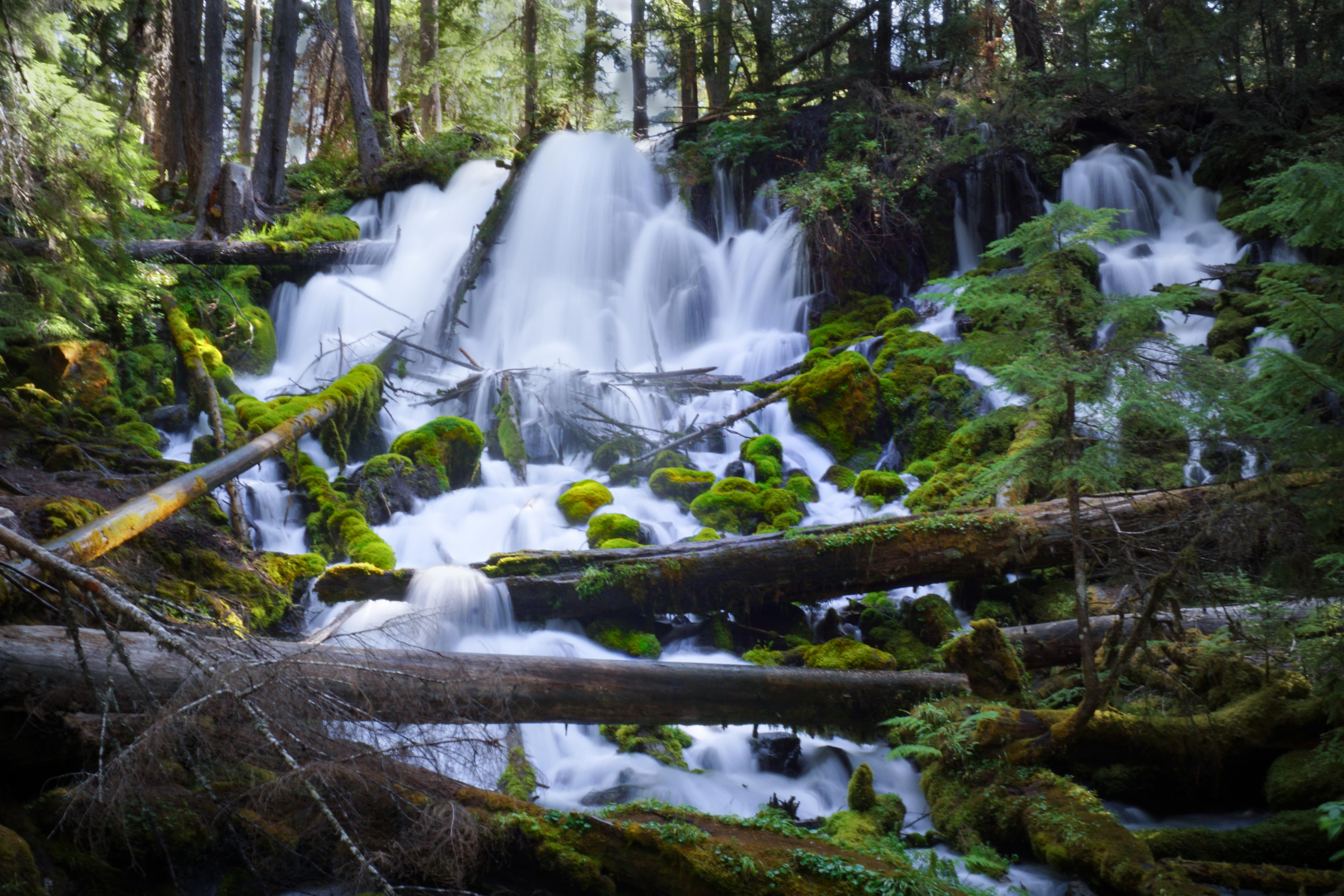 Clearwater Falls, Oregon [6000x4000] [OC] r/EarthPorn