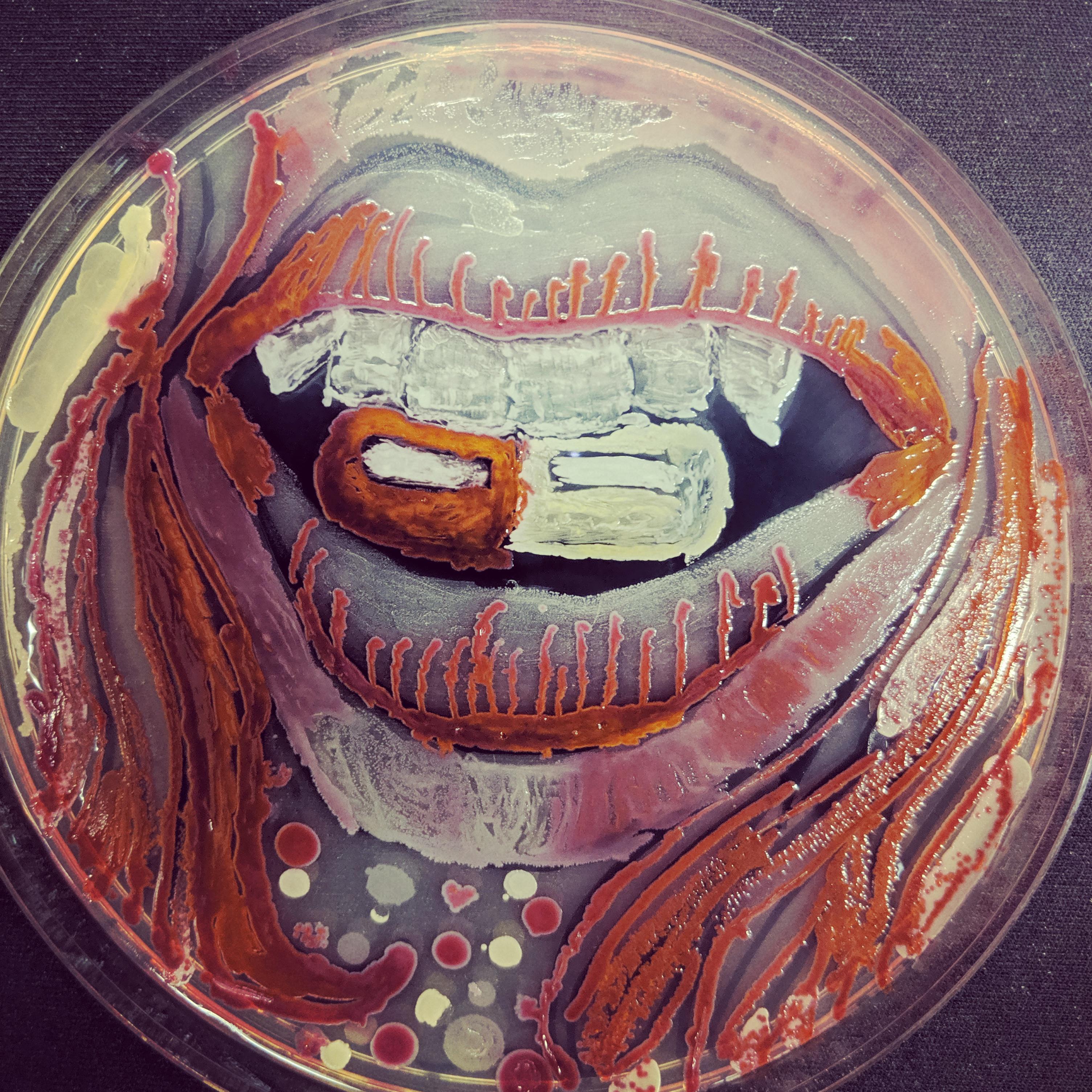 Petri Dish Art