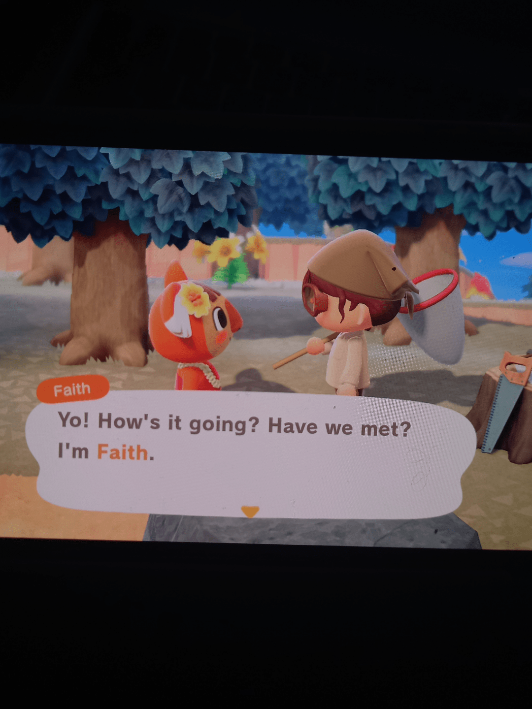 Faith! r/acnh