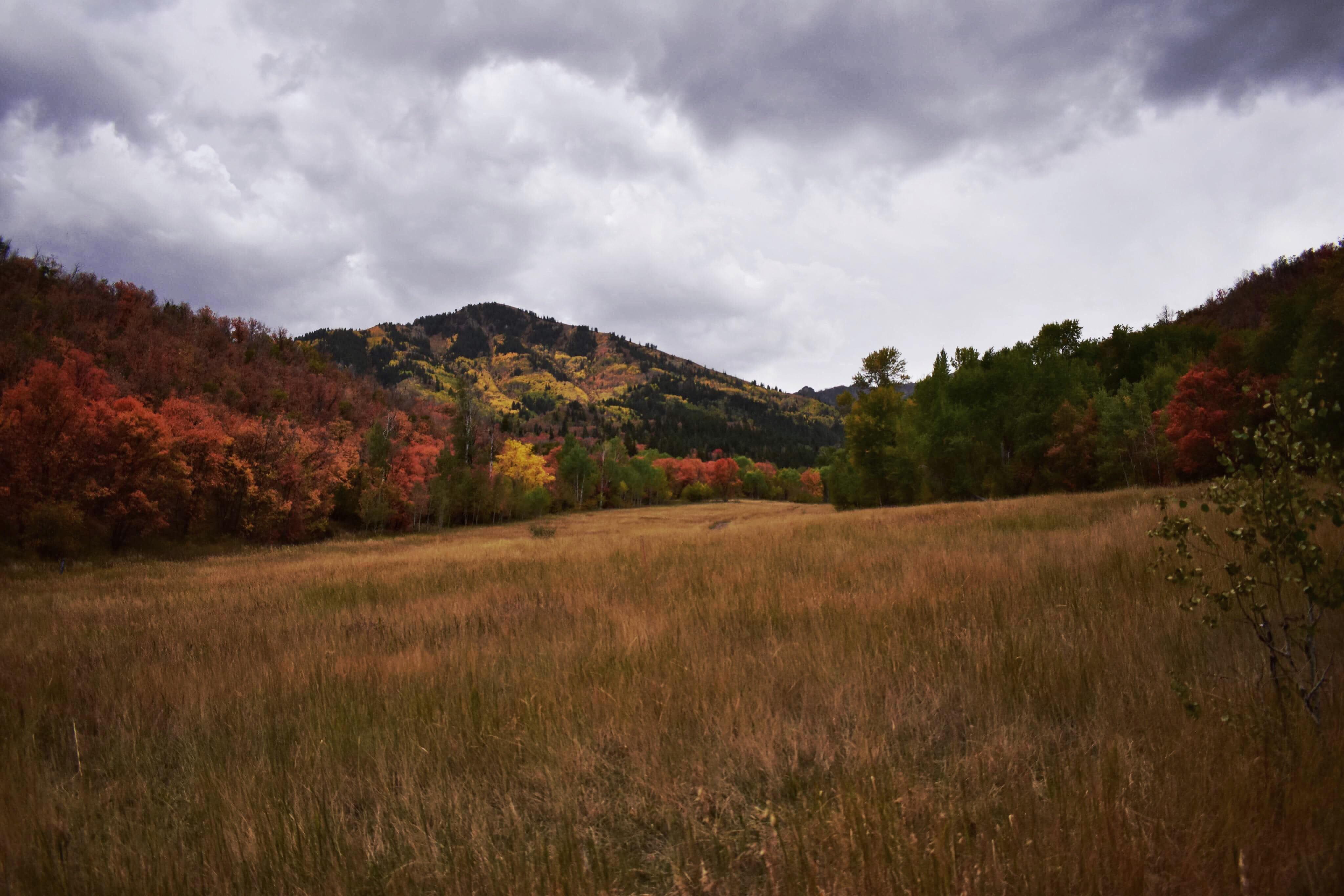 It was a dreary Fall Sunday up Provo Canyon yesterday. Big Springs