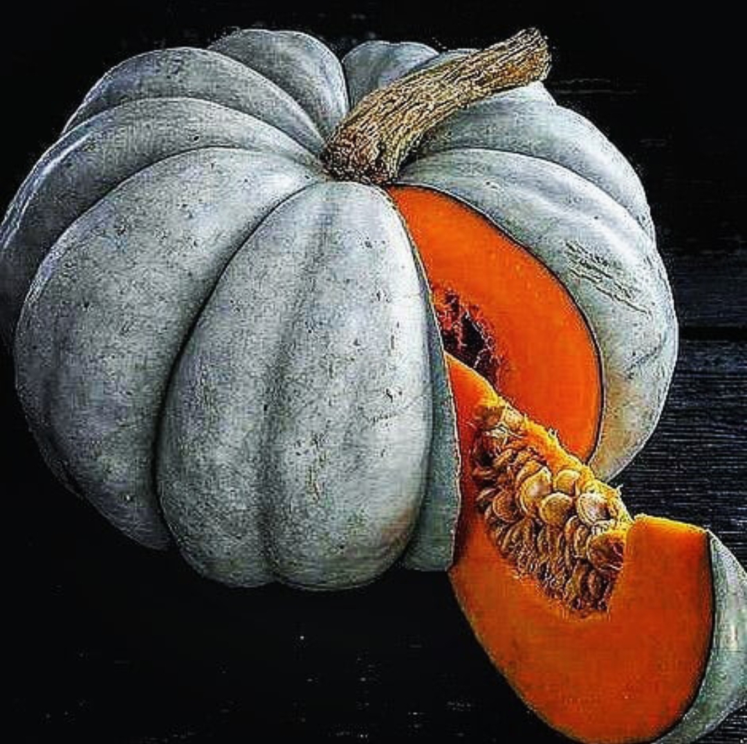 A Jarrahdale pumpkin, an heirloom pumpkin originally from Australia but