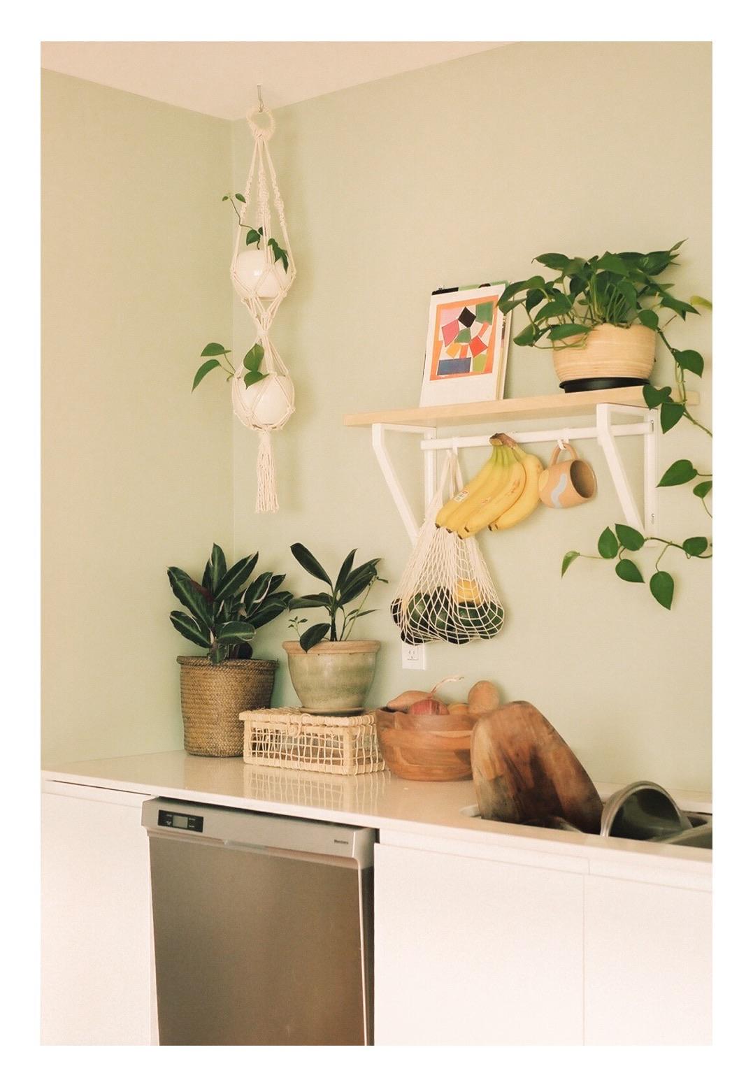 Minolta X7A | 50mm 1.8 | Portra 400 : r/analog