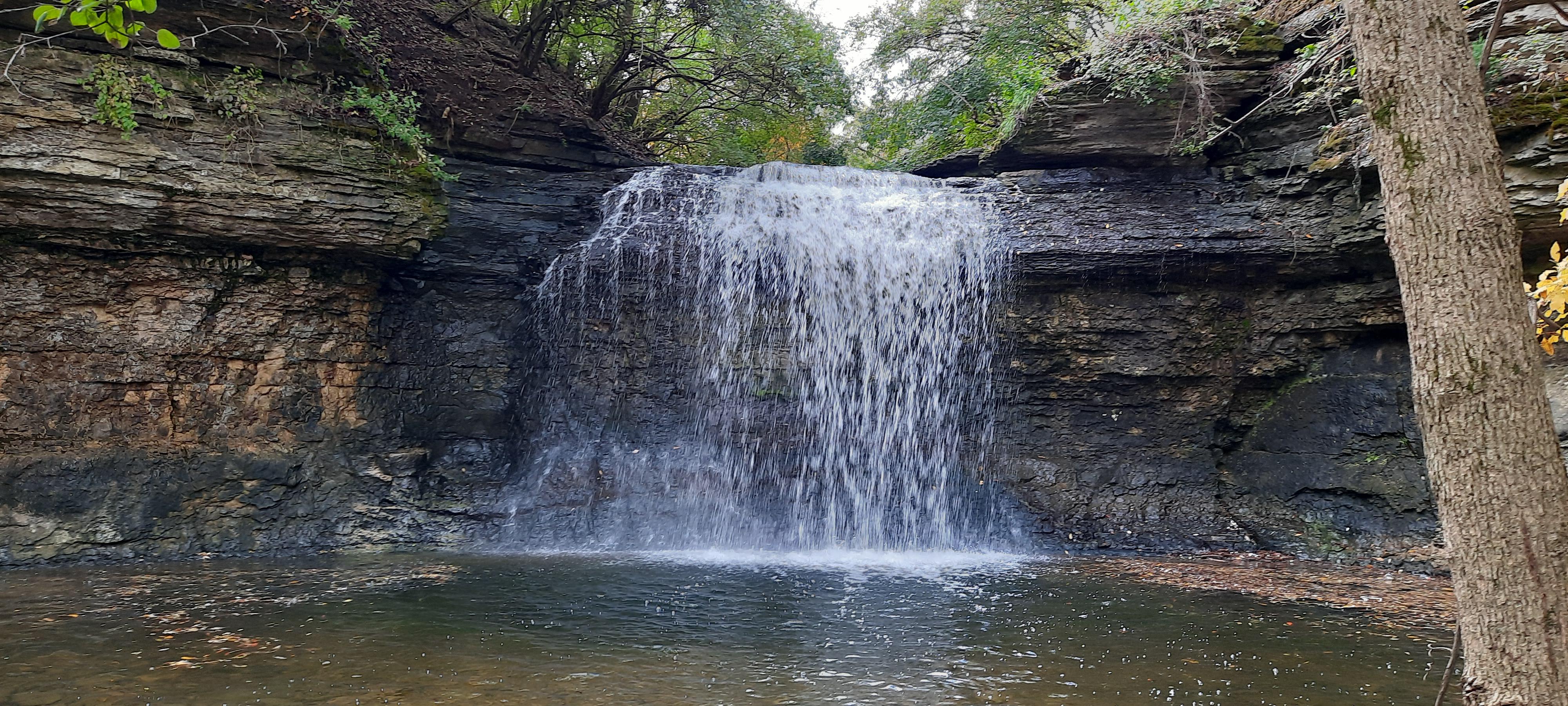 Quarry trails metro park near Trabue and Dublin rd. Don't use GPS to find it. r/Columbus